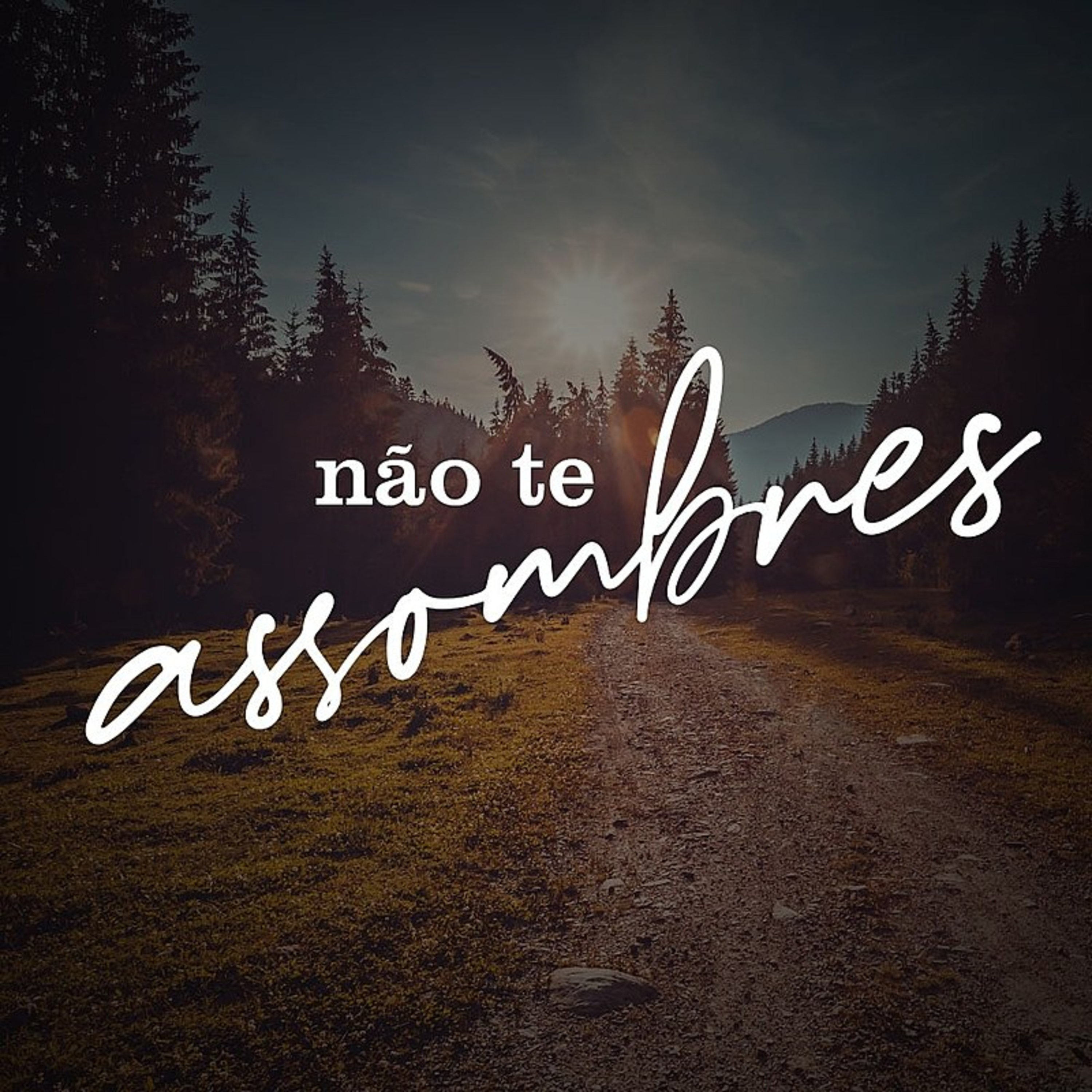 Solitude - Prisca Lessa | Congresso Não Te Assombres episode artwork