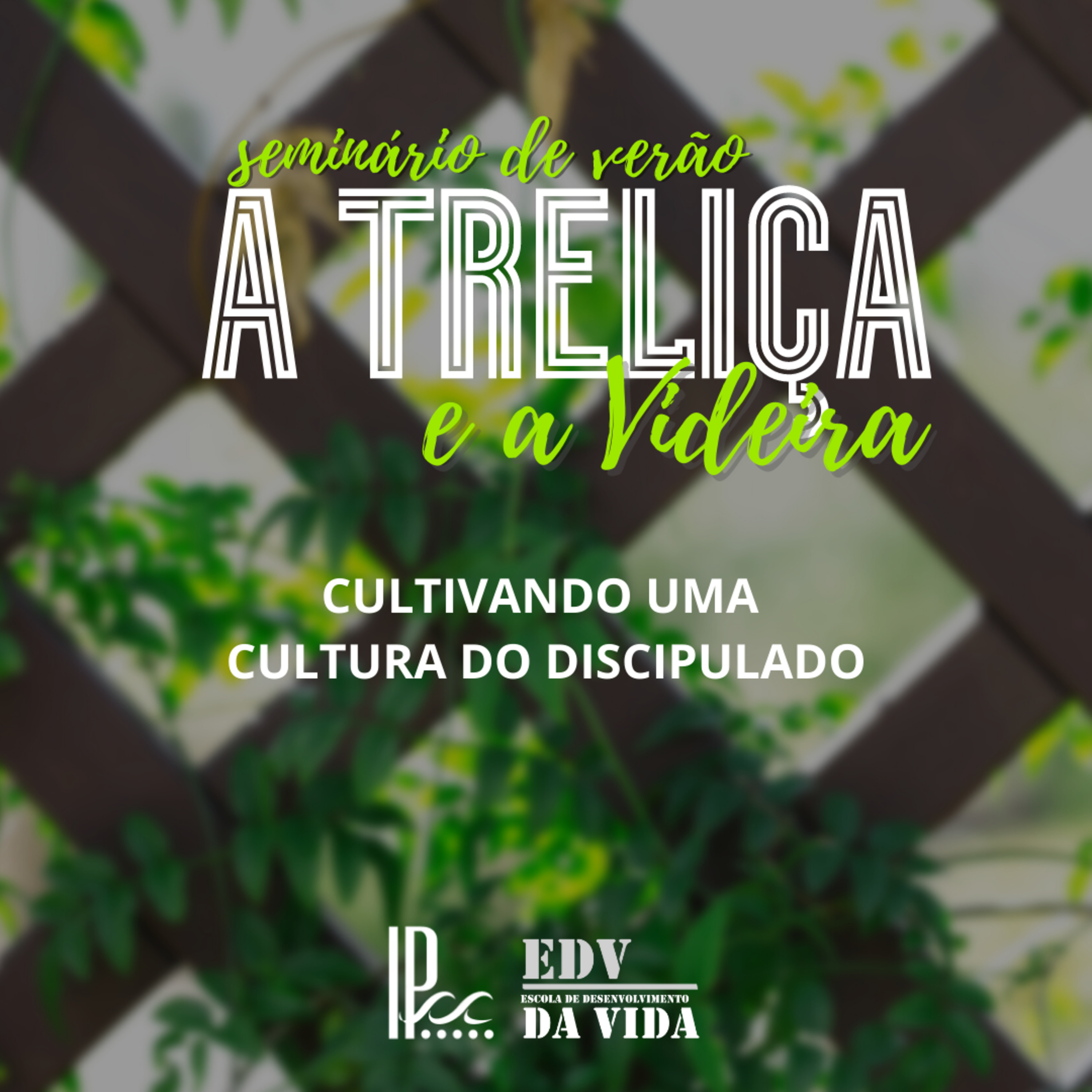 Seminário de Verão - A treliça e a Videira #4 - Rev. Ronaldo Vasconcelos episode artwork