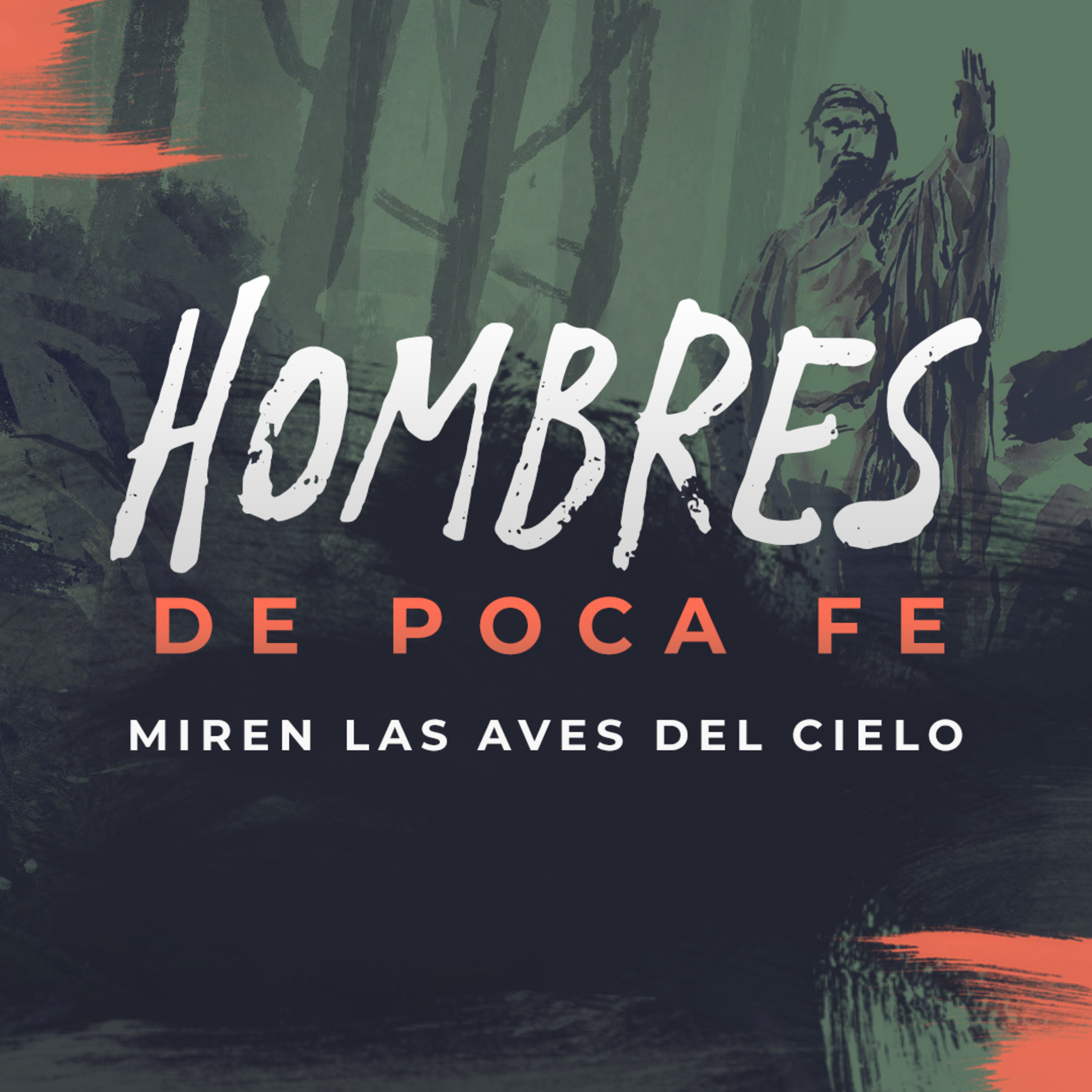 Miren las aves del cielo episode artwork