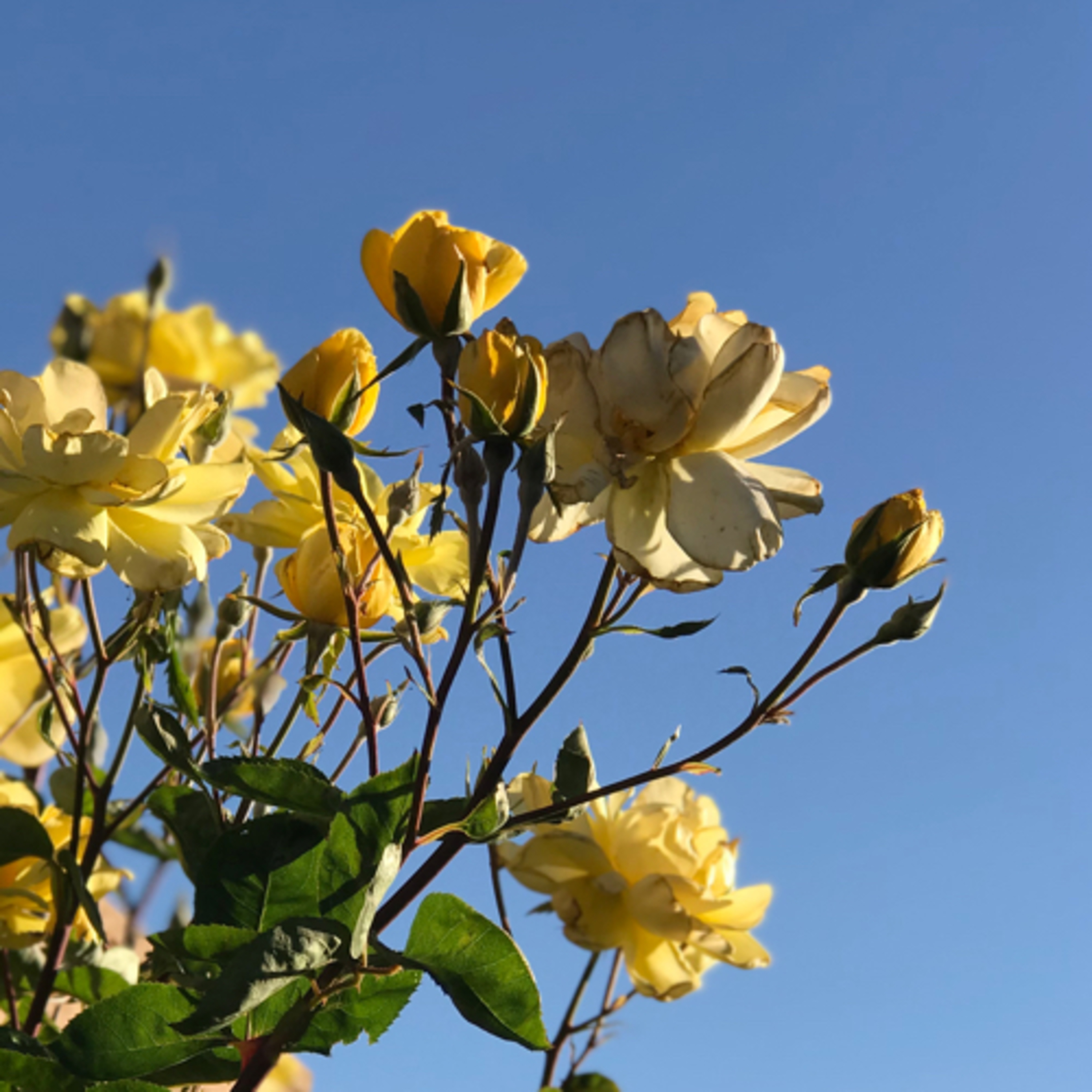 Special Guest Kylie Jenner joins us today as we venture into the beginnings of the Milky Way.