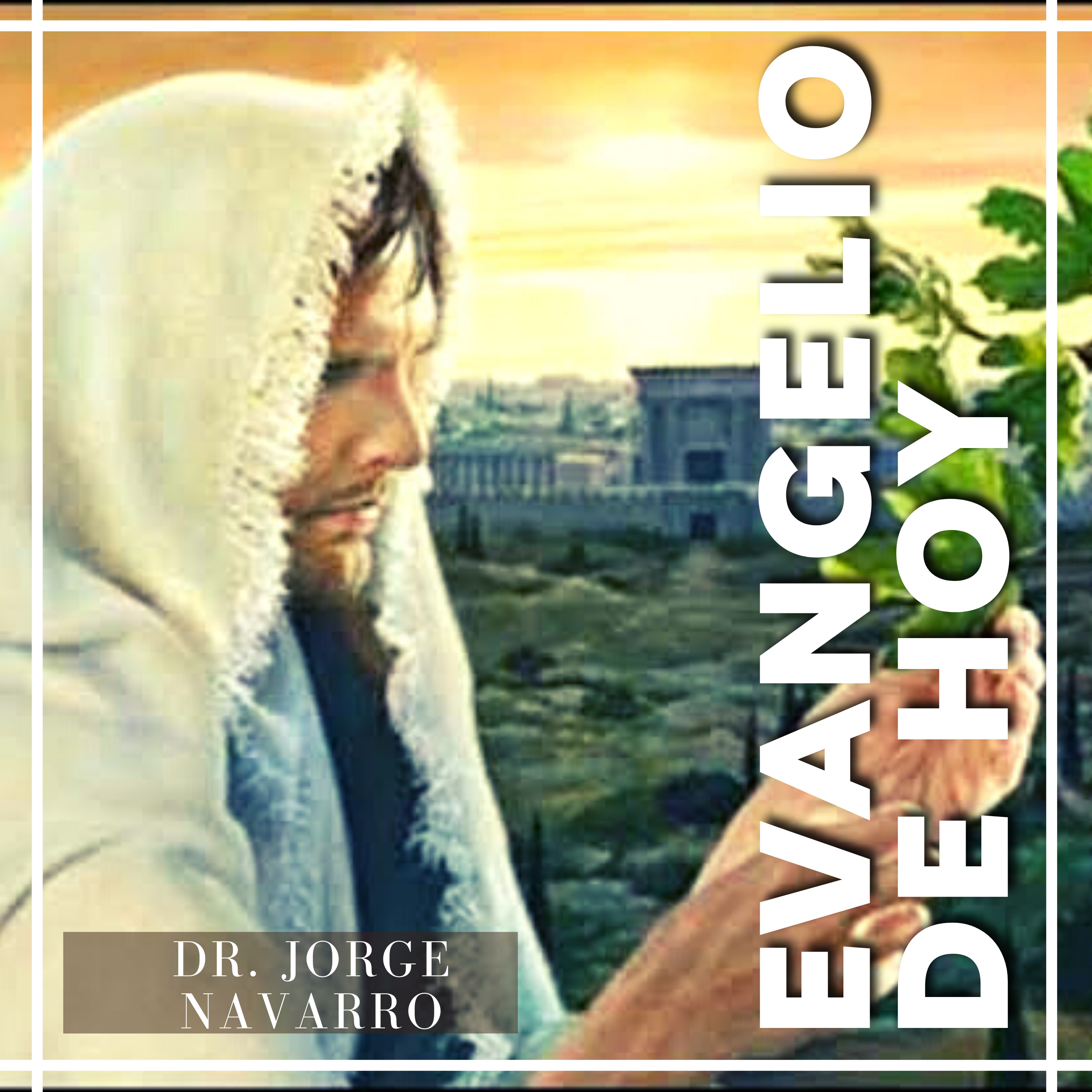 Dr. Jorge Francisco Navarro Torres