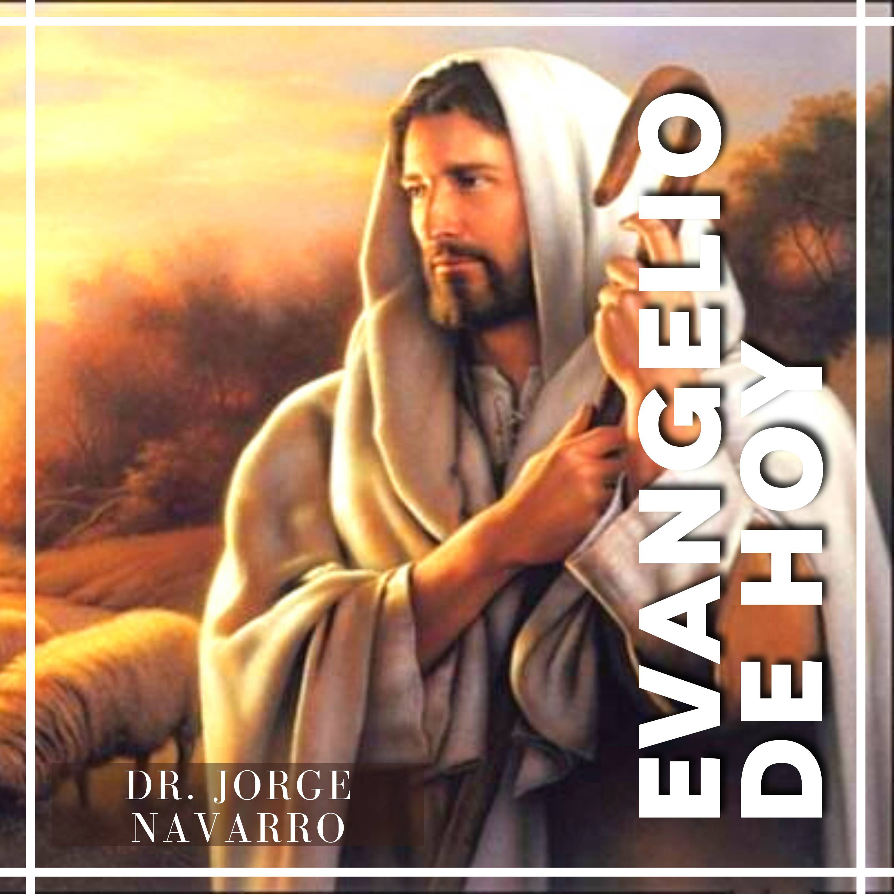 Dr. Jorge Francisco Navarro Torres