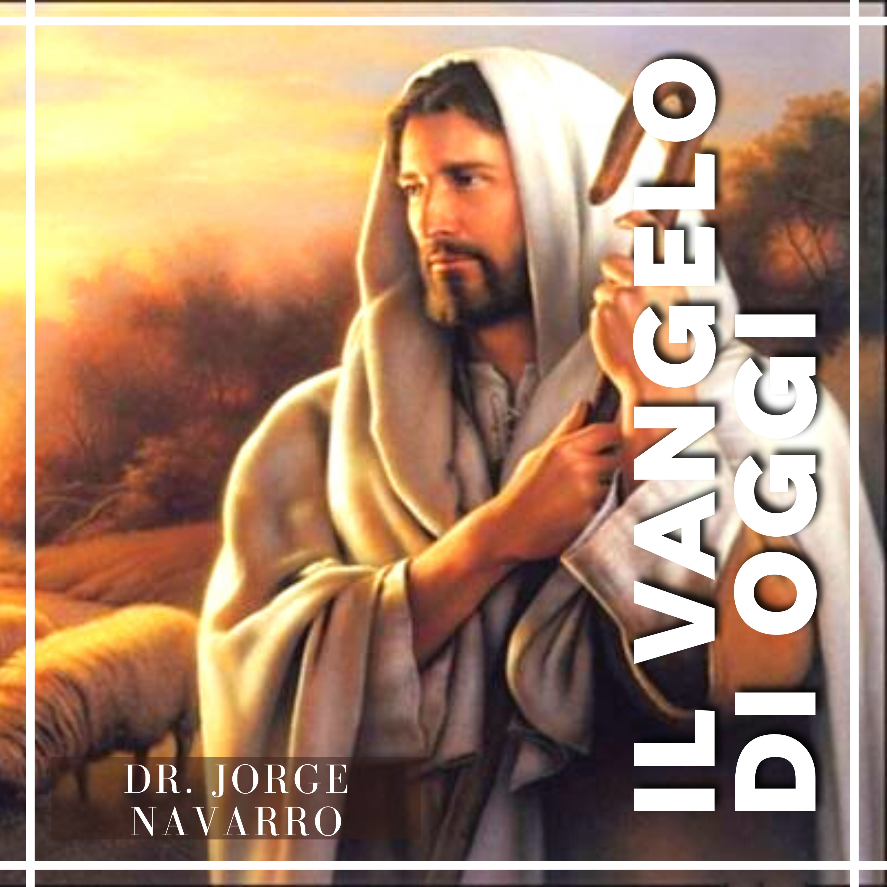 Dr. Jorge Francisco Navarro Torres