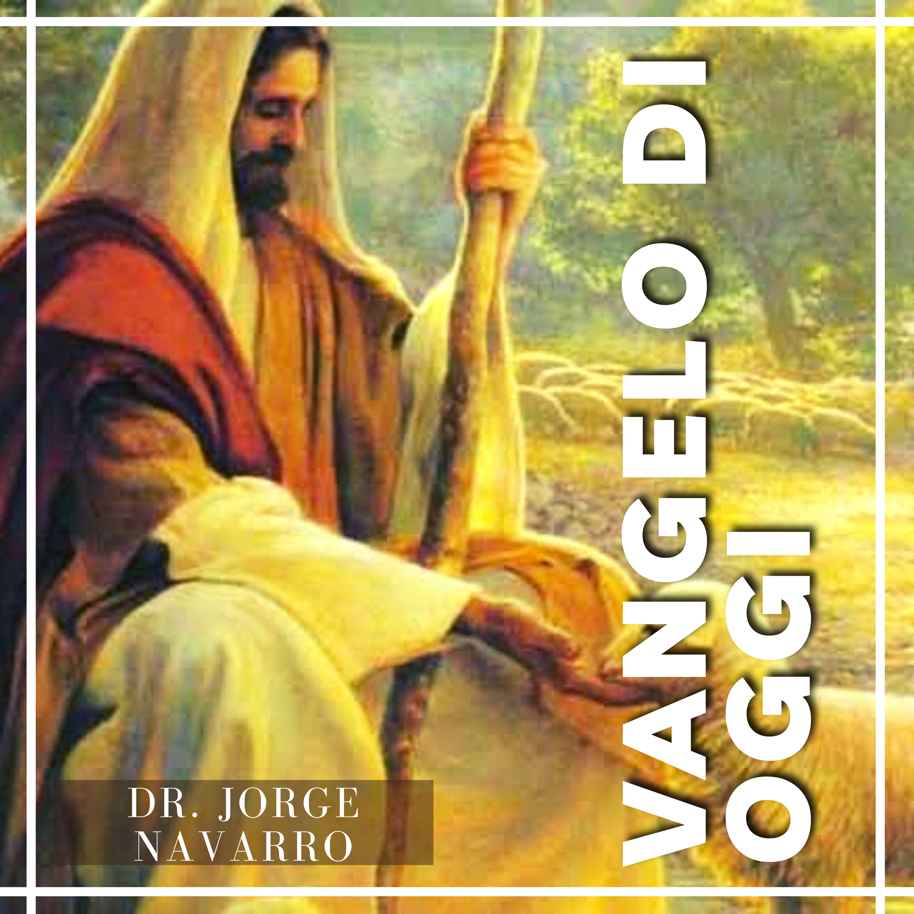 Dr. Jorge Francisco Navarro Torres