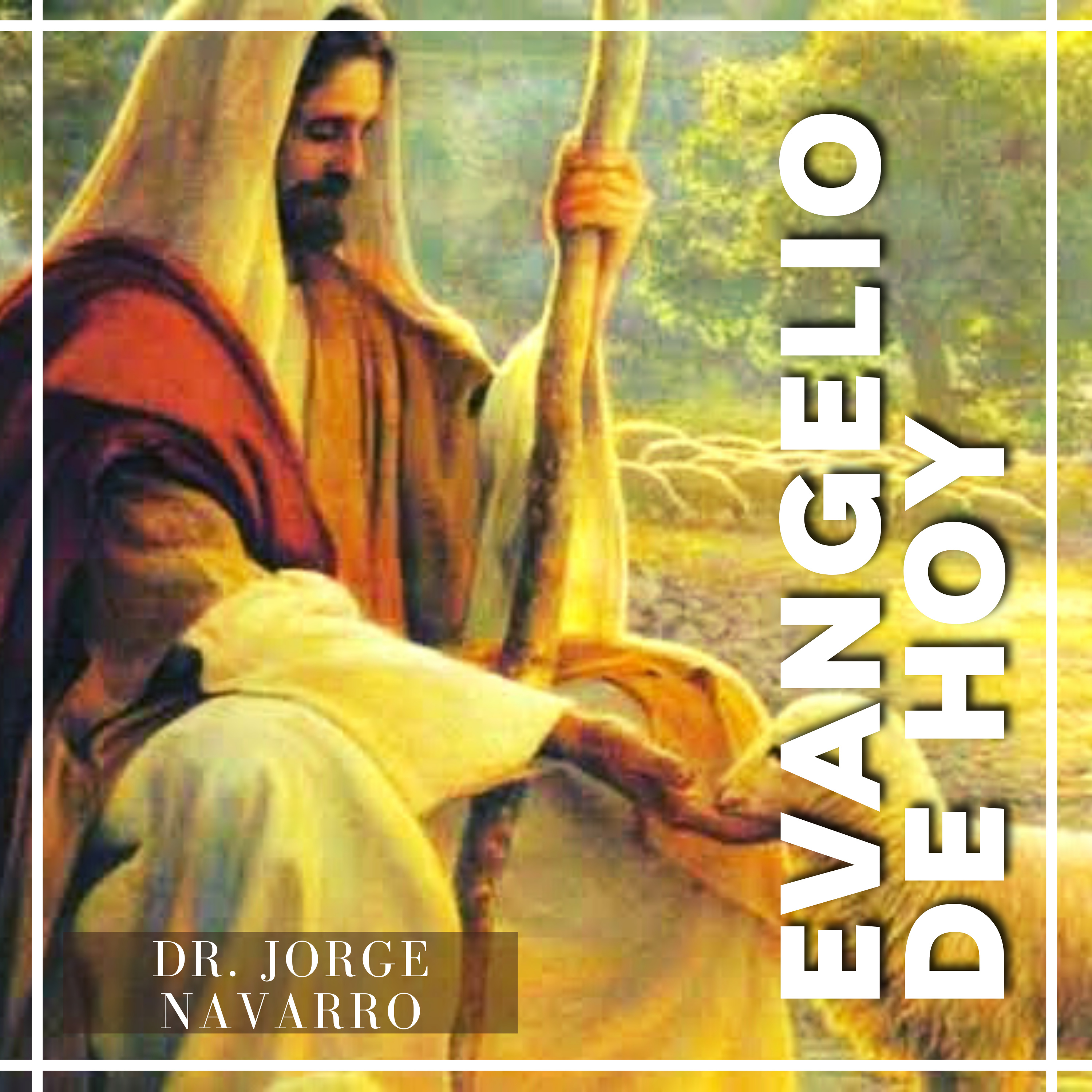 Dr. Jorge Francisco Navarro Torres