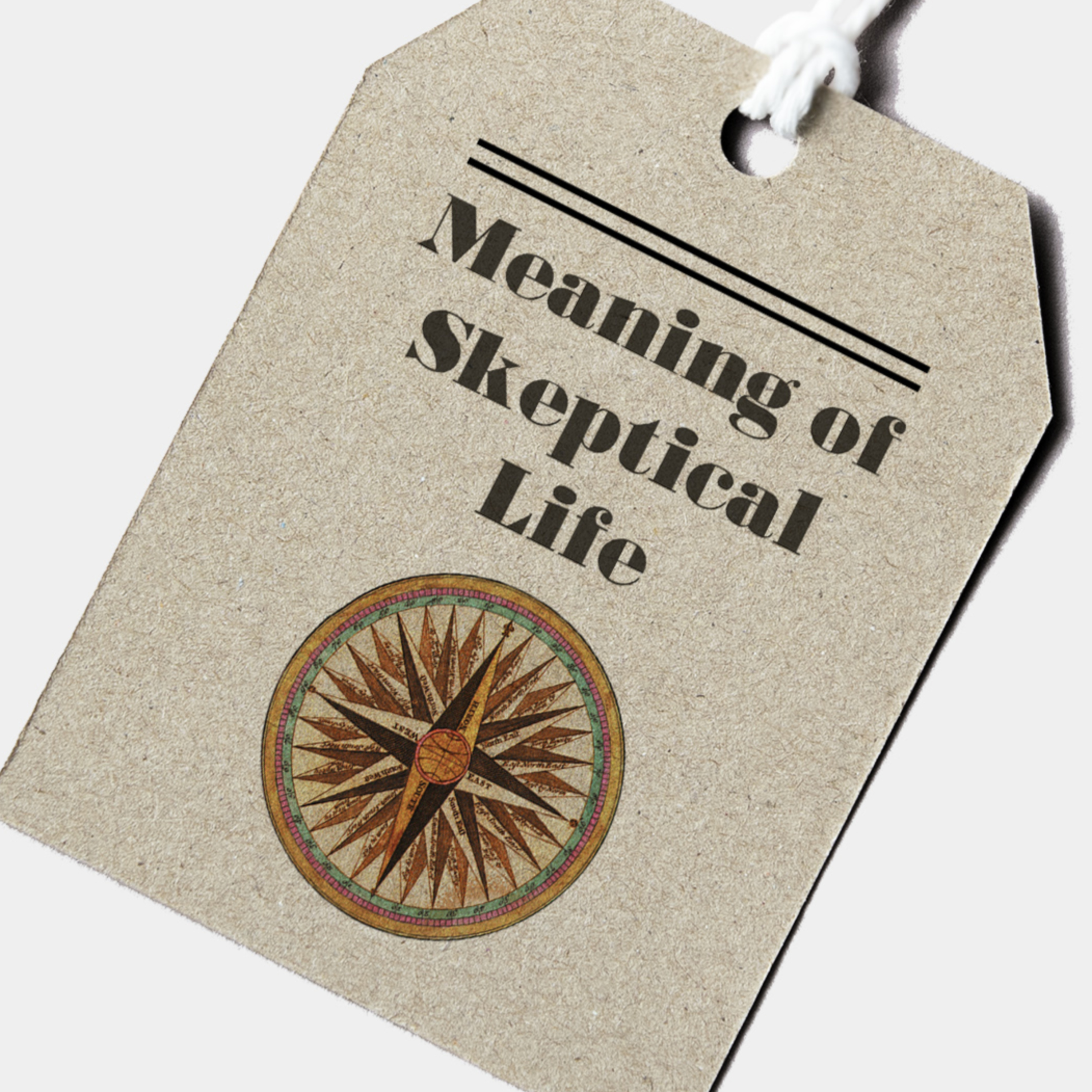 Meaning of (Skeptical) Life