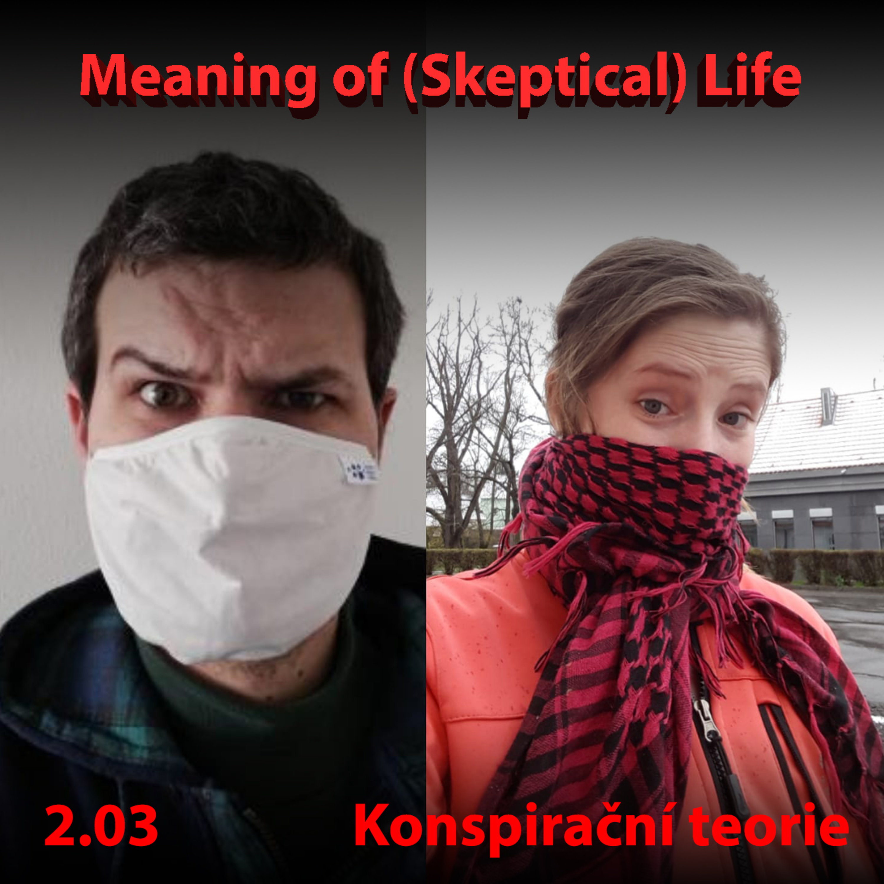Meaning of (Skeptical) Life
