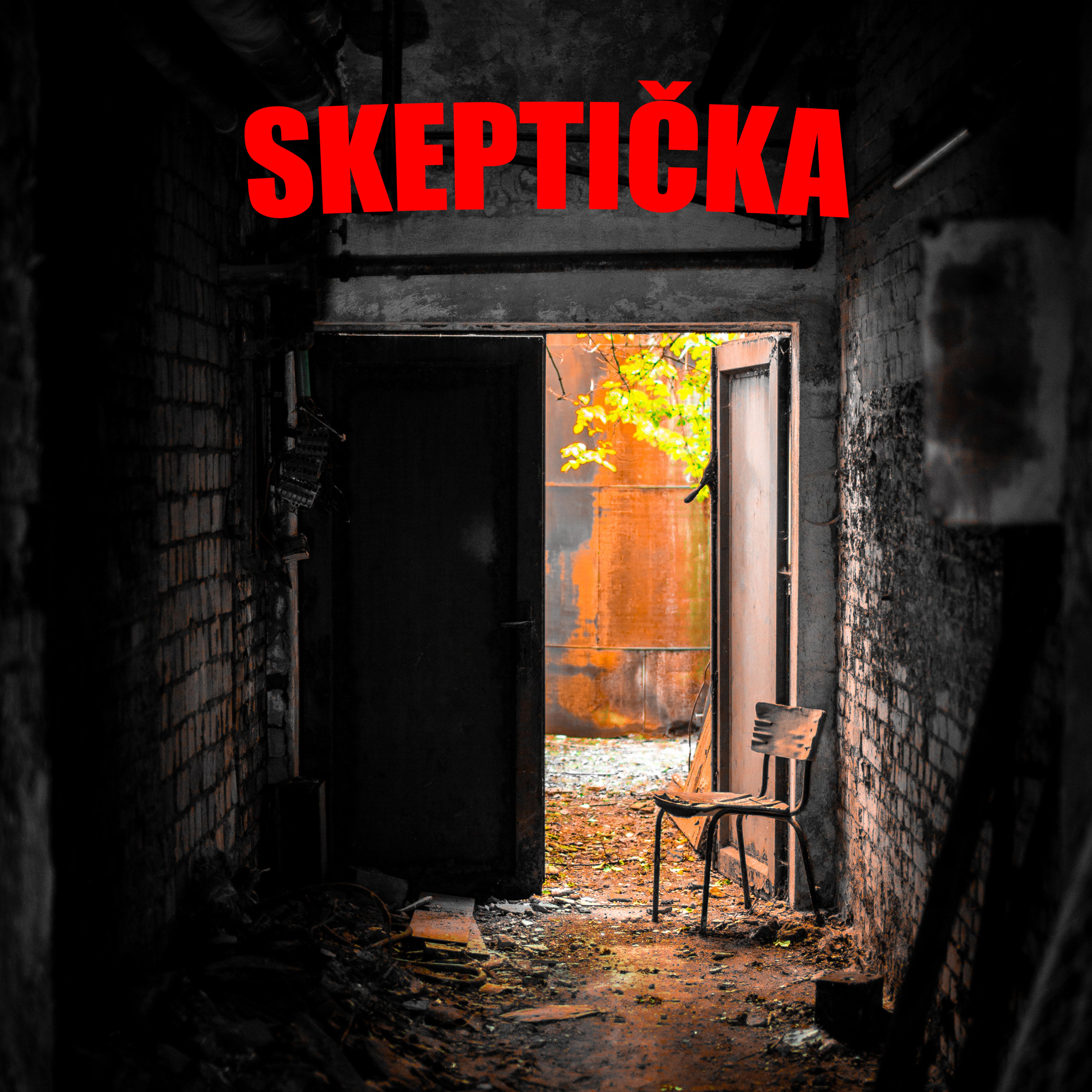 Meaning of (Skeptical) Life
