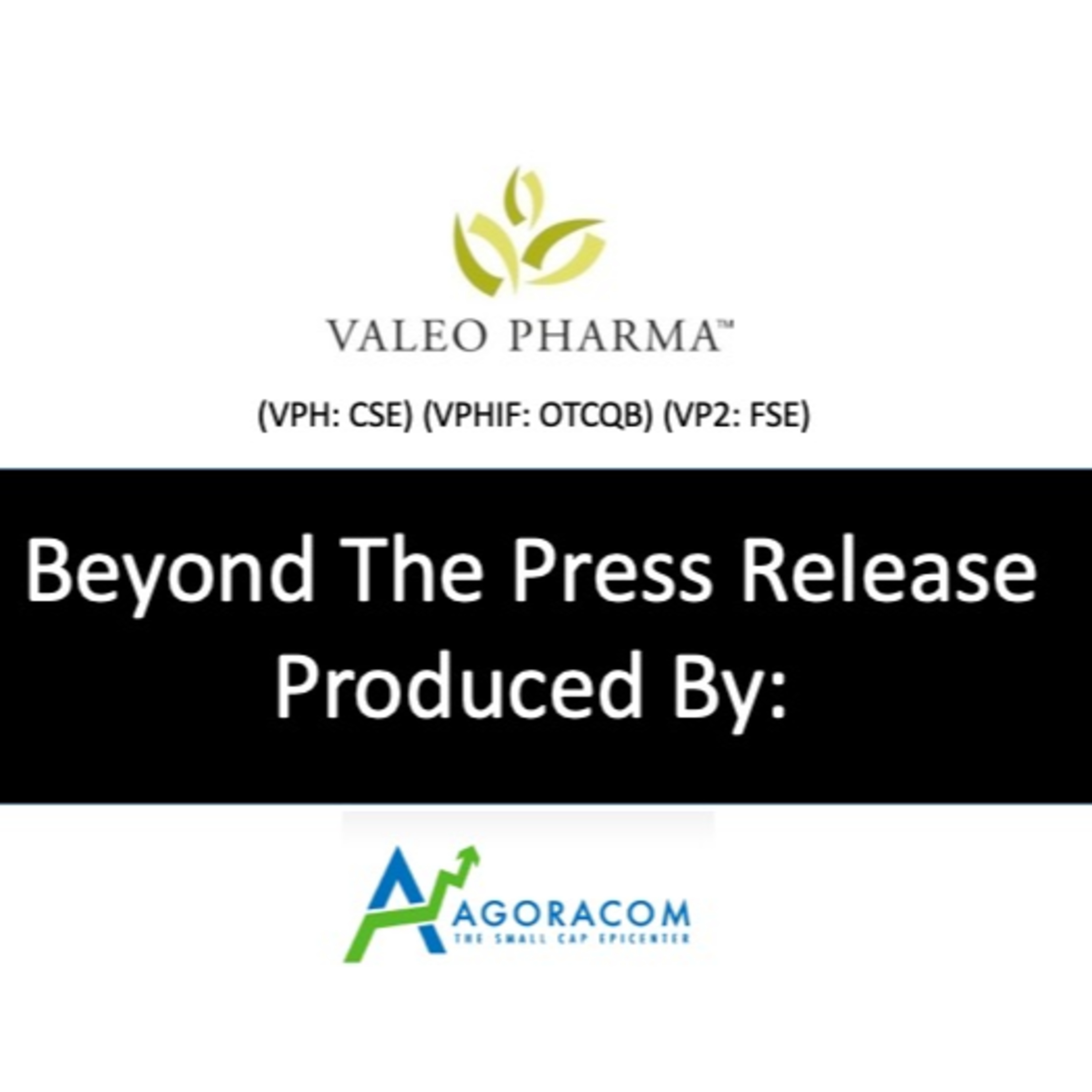AGORACOM Small Cap CEO Interviews