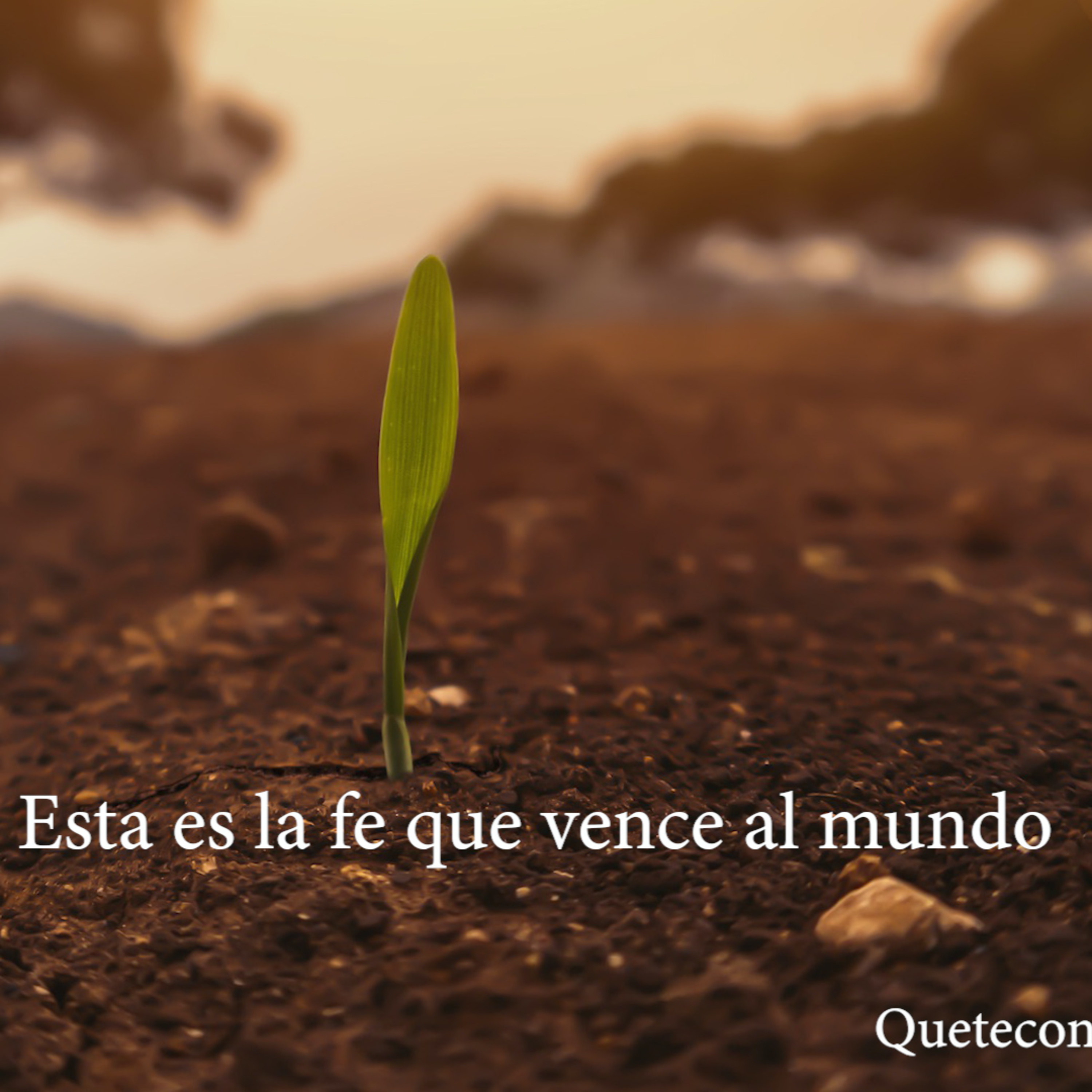 Que te conozcan