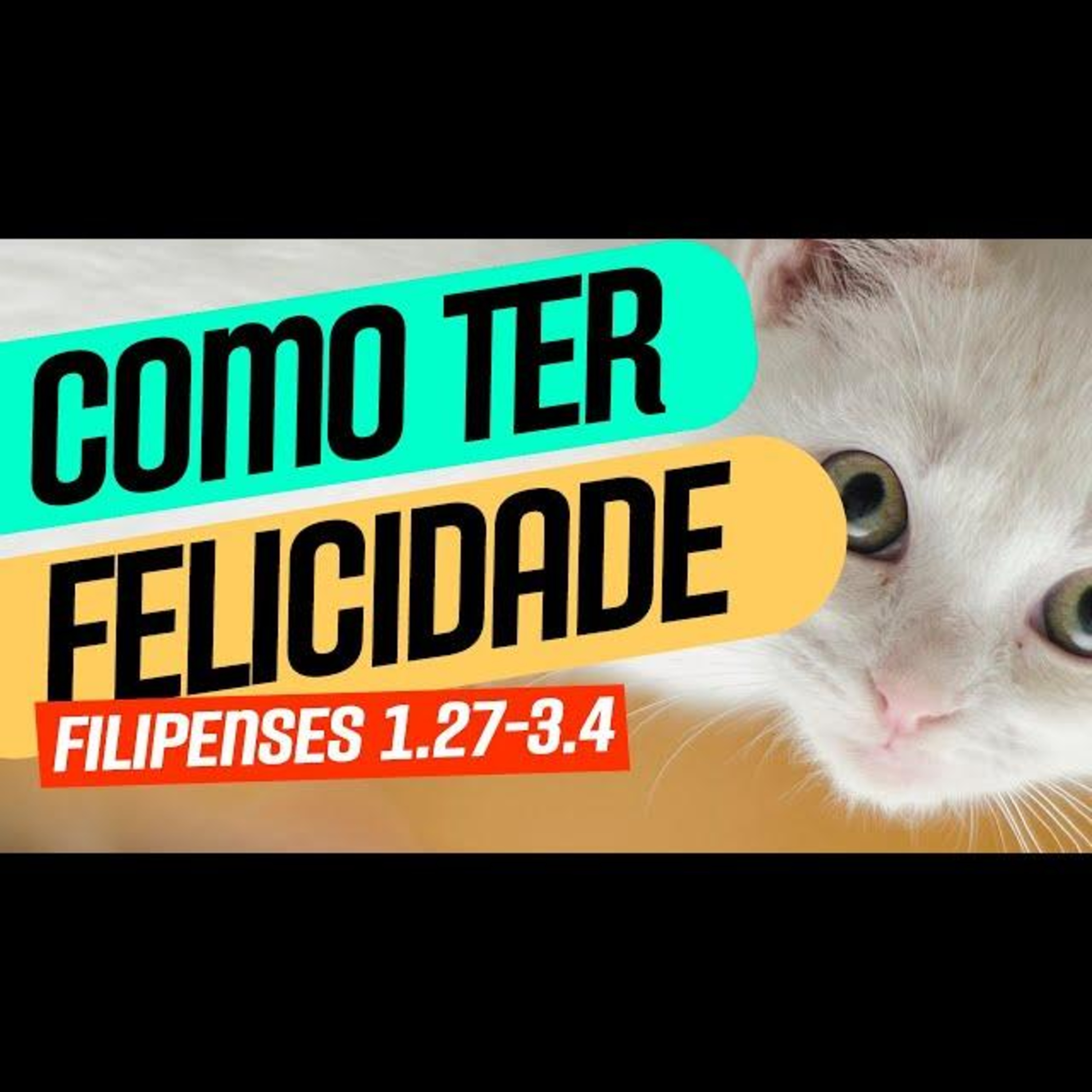 Leitura Compartilhada - Séries