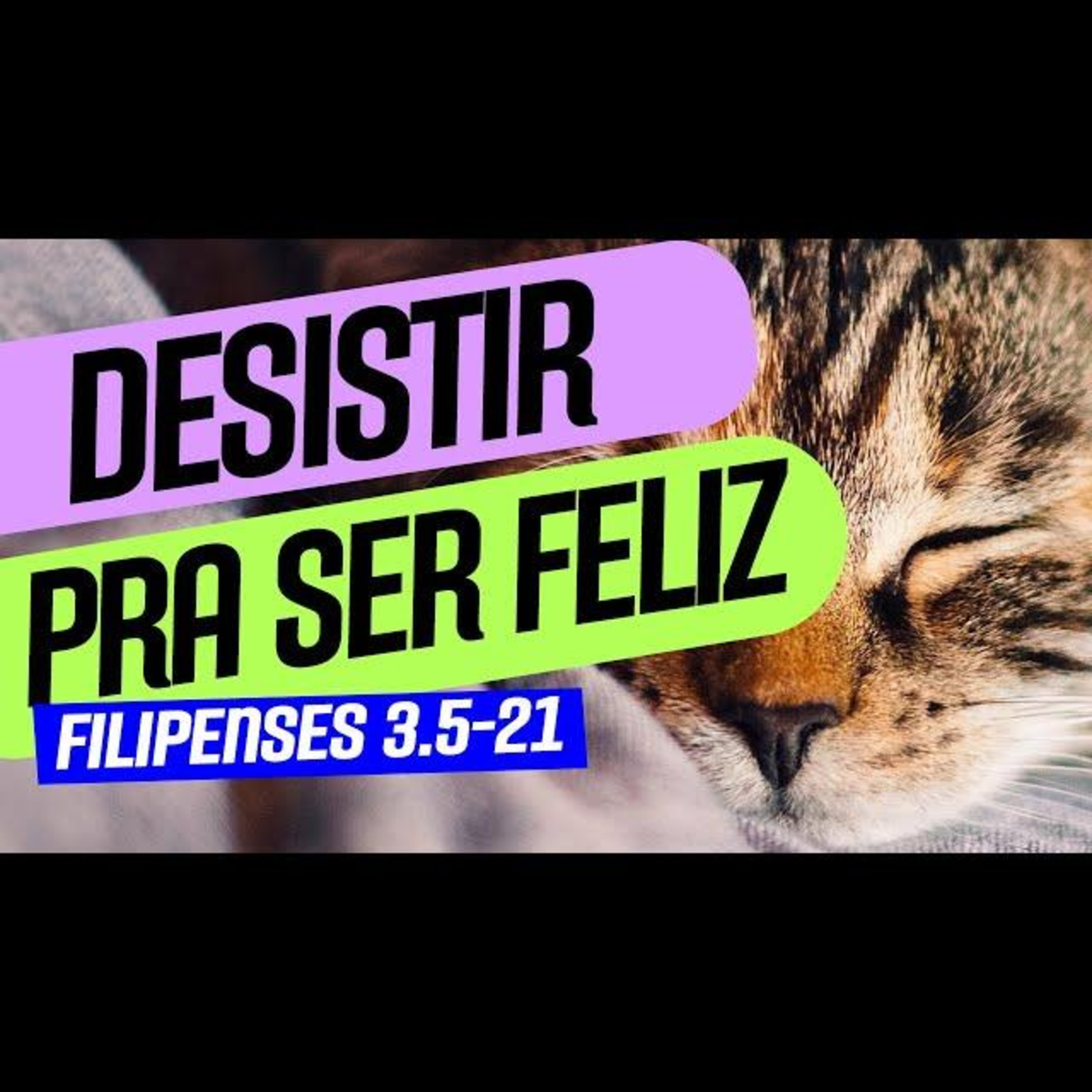 Leitura Compartilhada - Séries