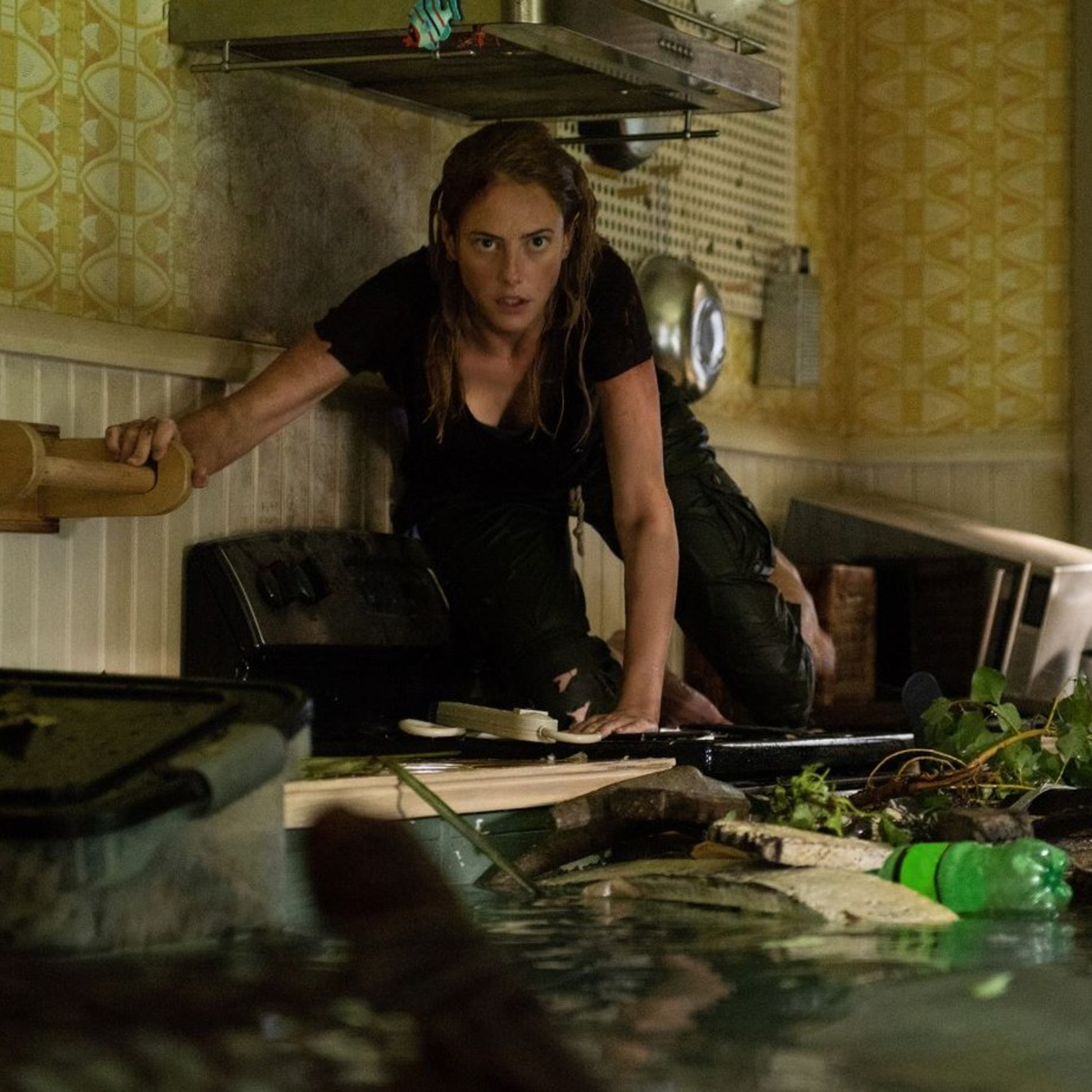 Crawl episode artwork