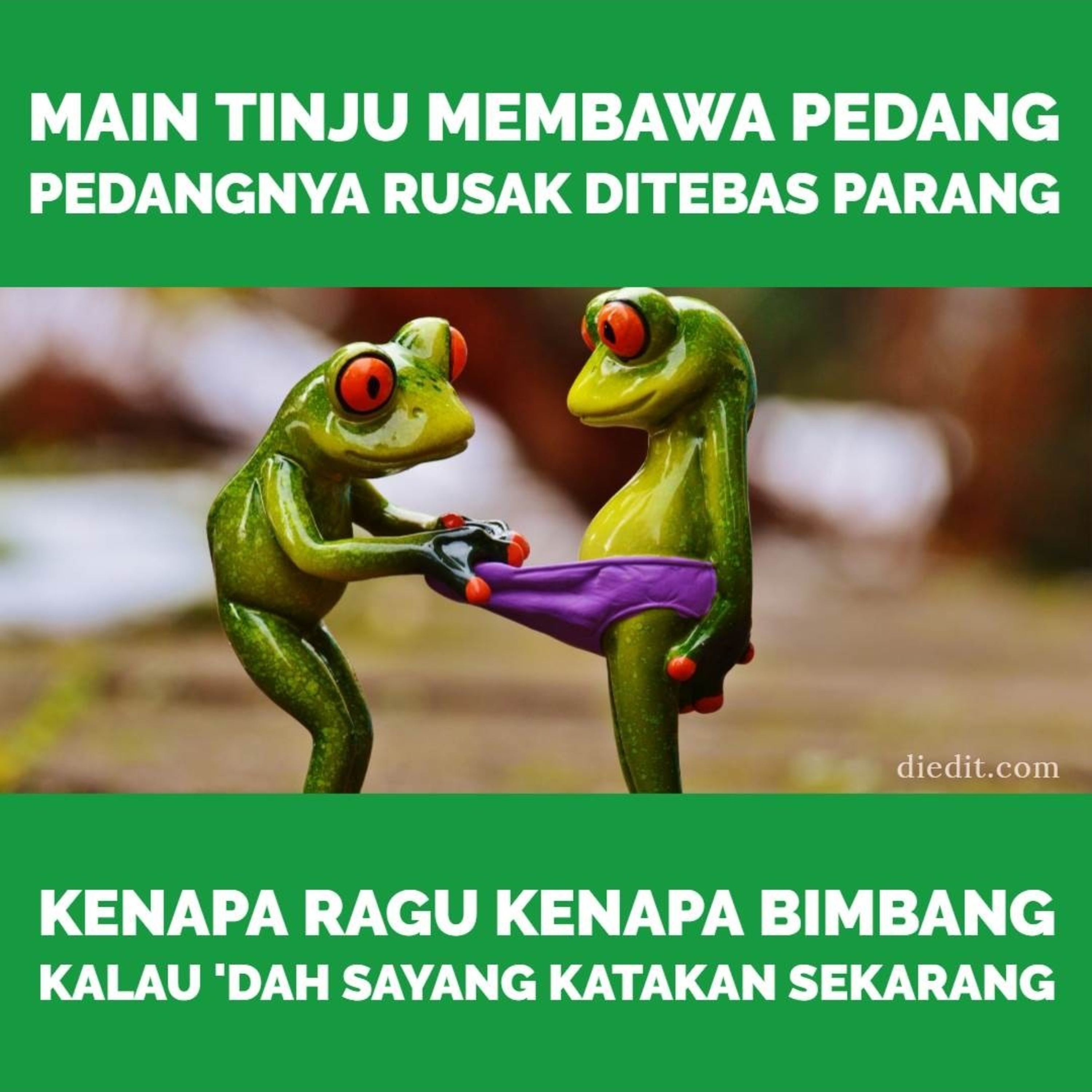 Stand Up Jambi Network