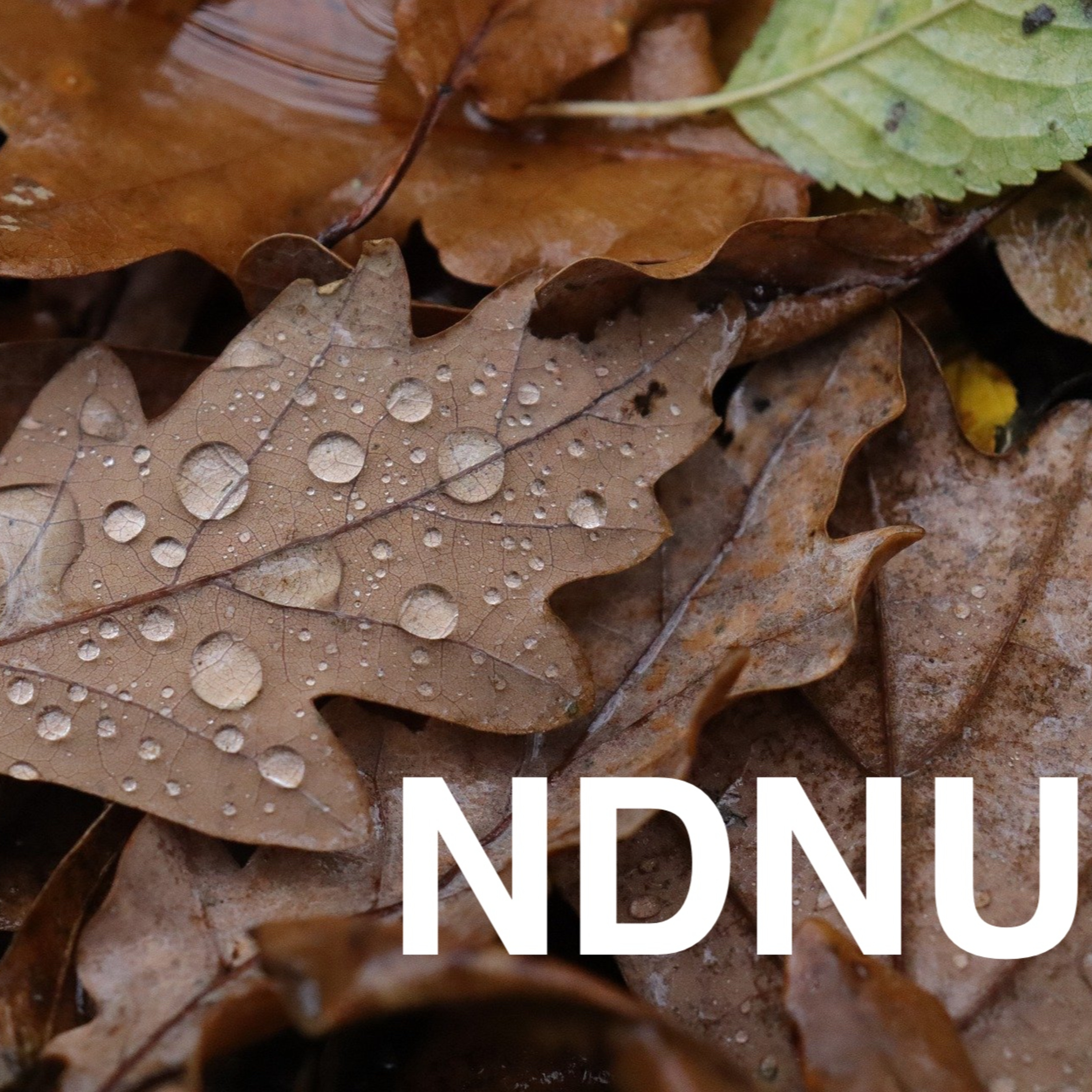 NDNU