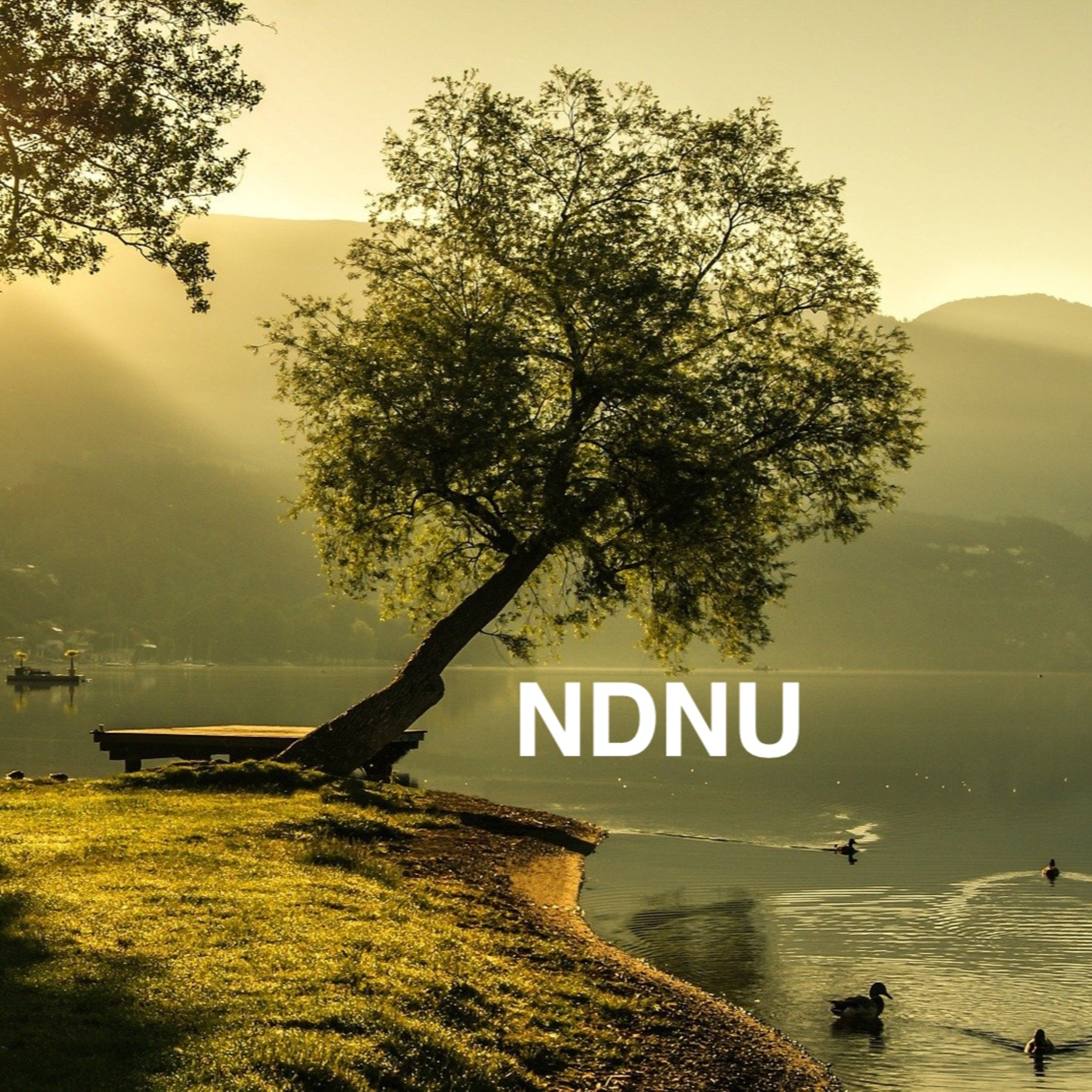 NDNU