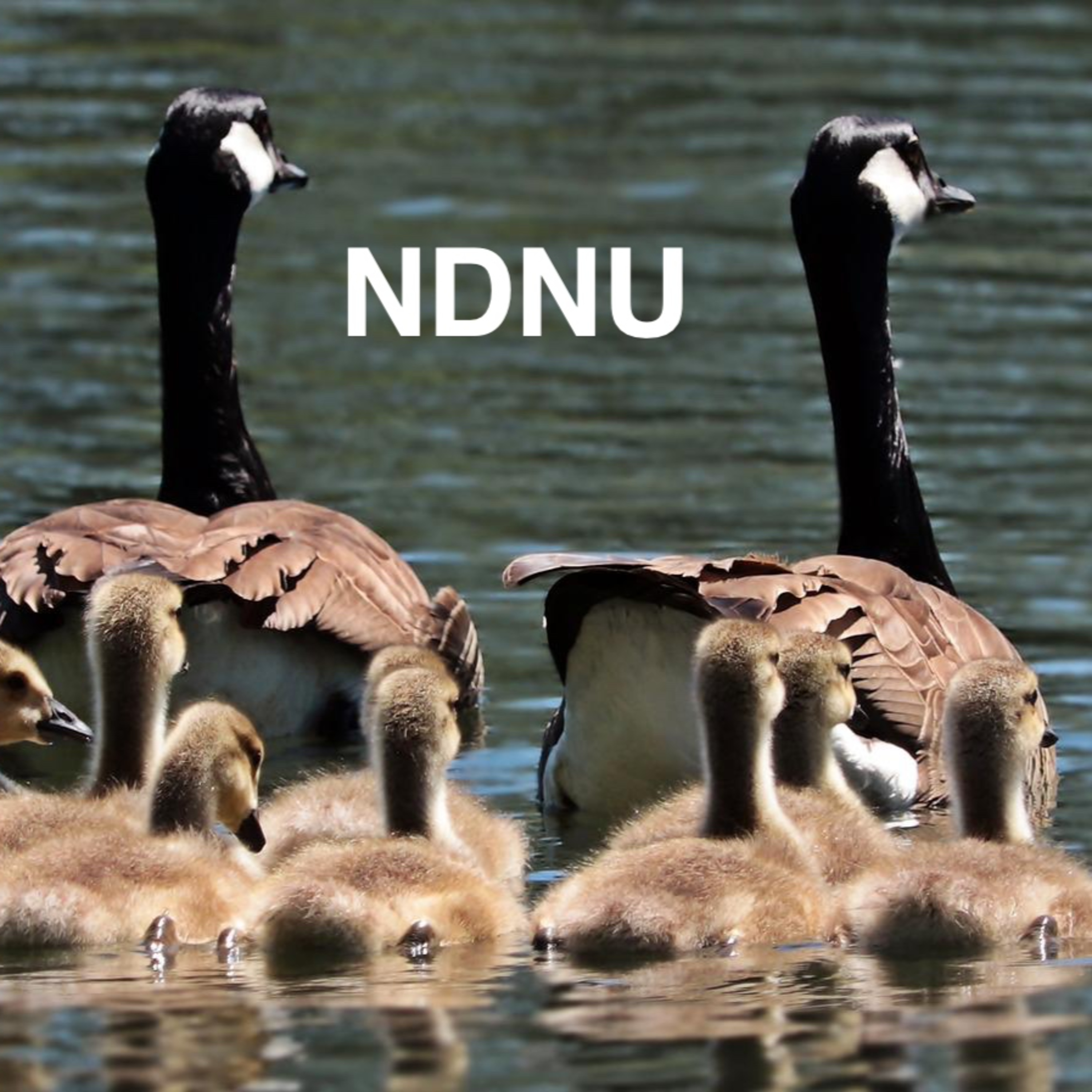 NDNU