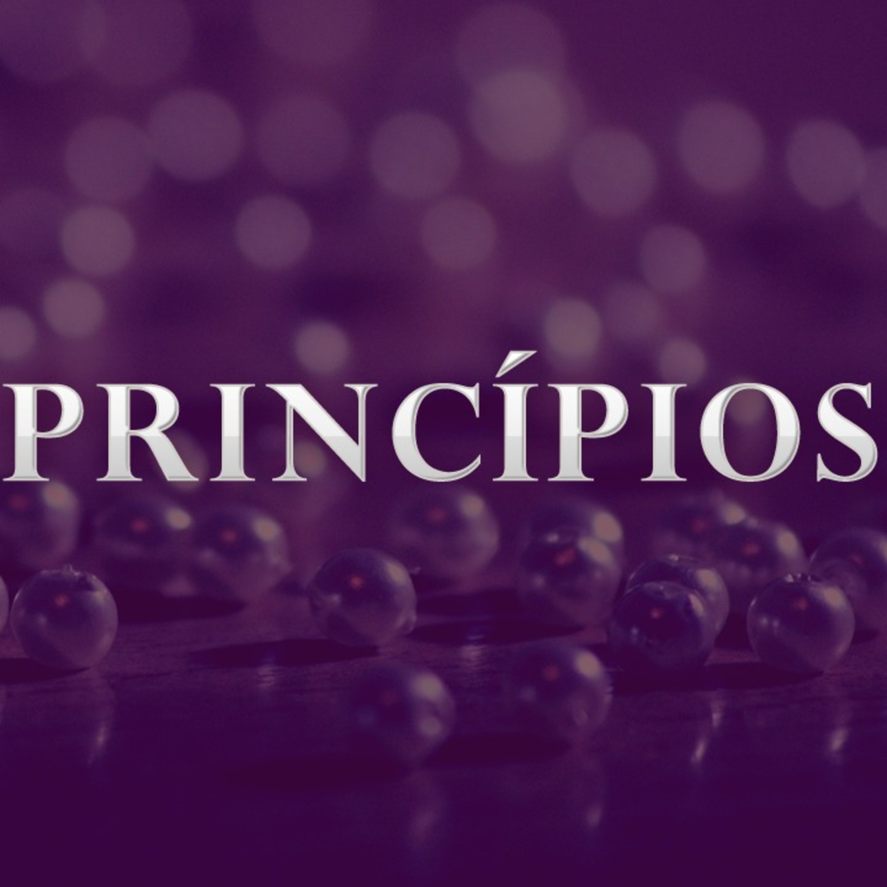 #16 PRINCÍPIOS - HUMILDADE episode artwork
