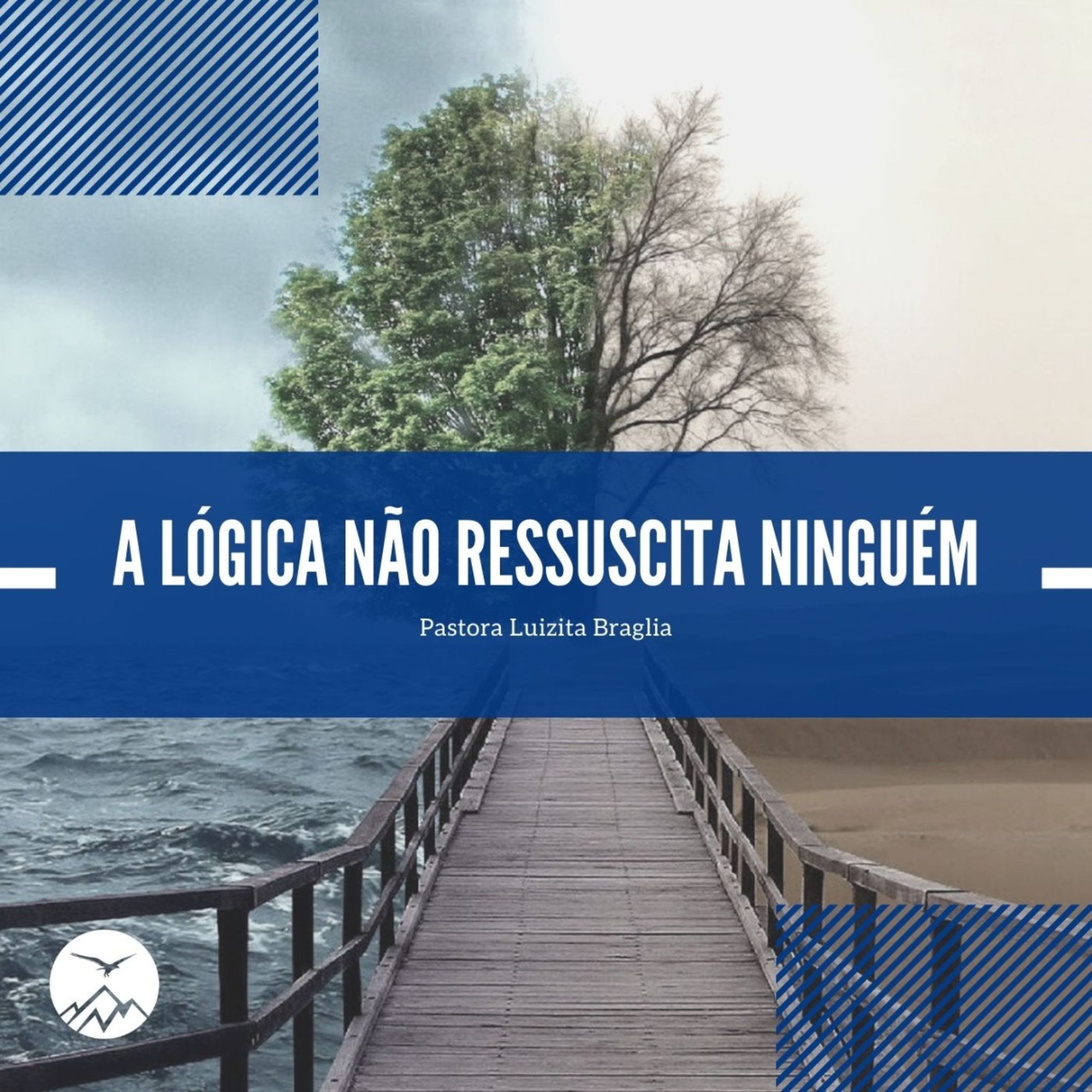 SHABAT: A LÓGICA NÃO RESSUSCITA NINGUÉM - Luizita Braglia episode artwork