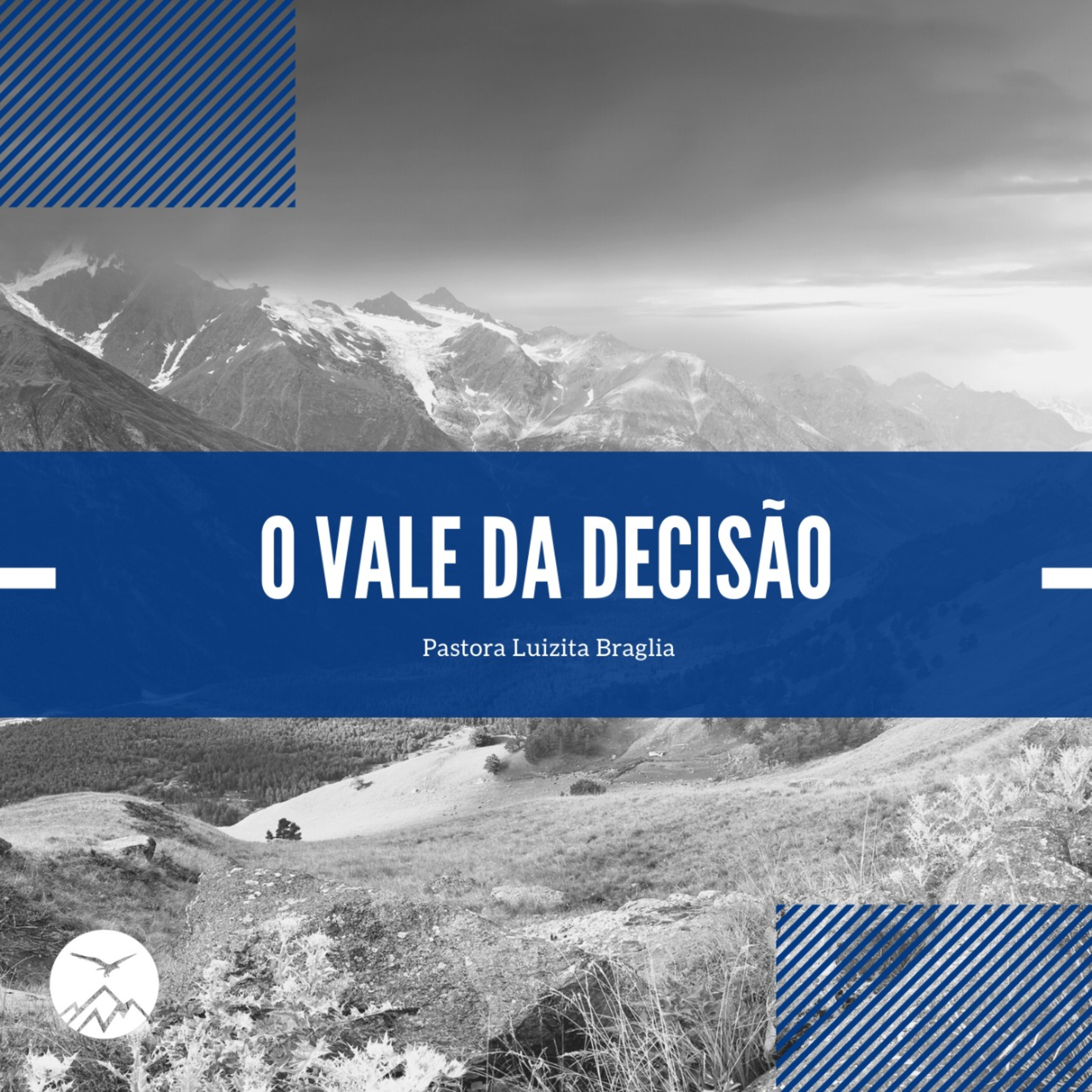 O VALE DA DECISÃO - Luizita Braglia