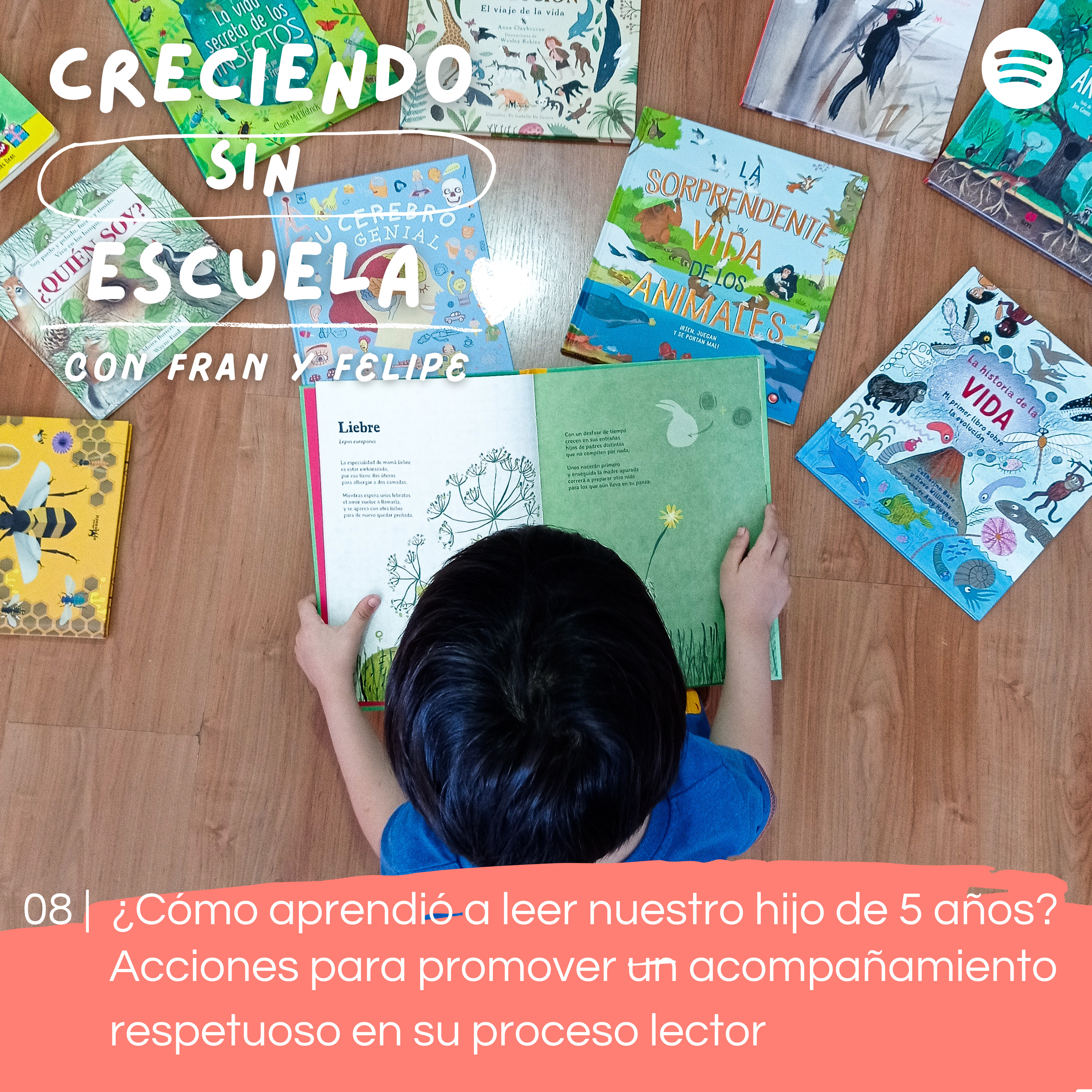 08 | ¿Cómo aprendió a leer nuestro hijo de 5 años? Acciones para promover un acompañamiento respetuoso en su proceso lector  episode artwork
