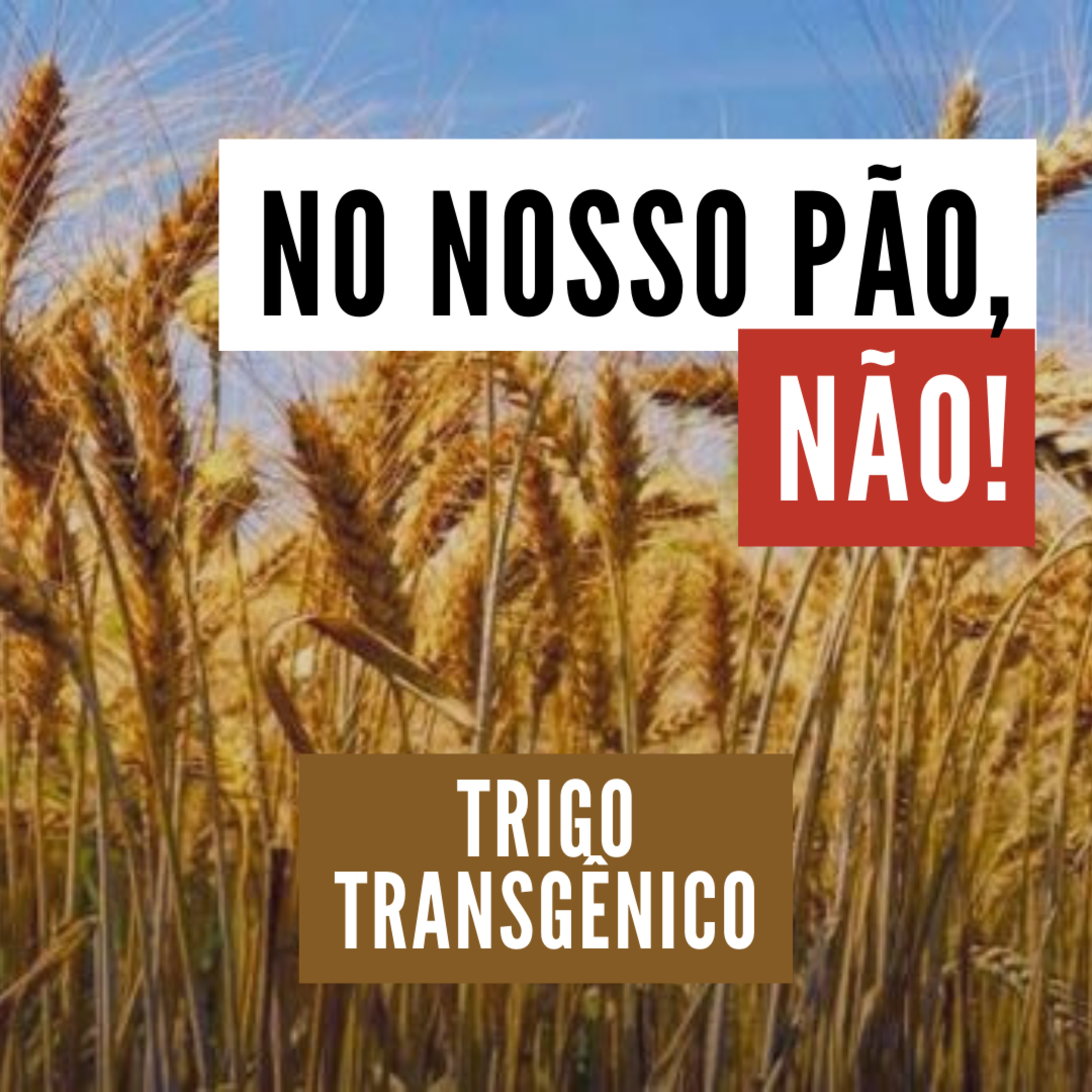 Pulso Latino