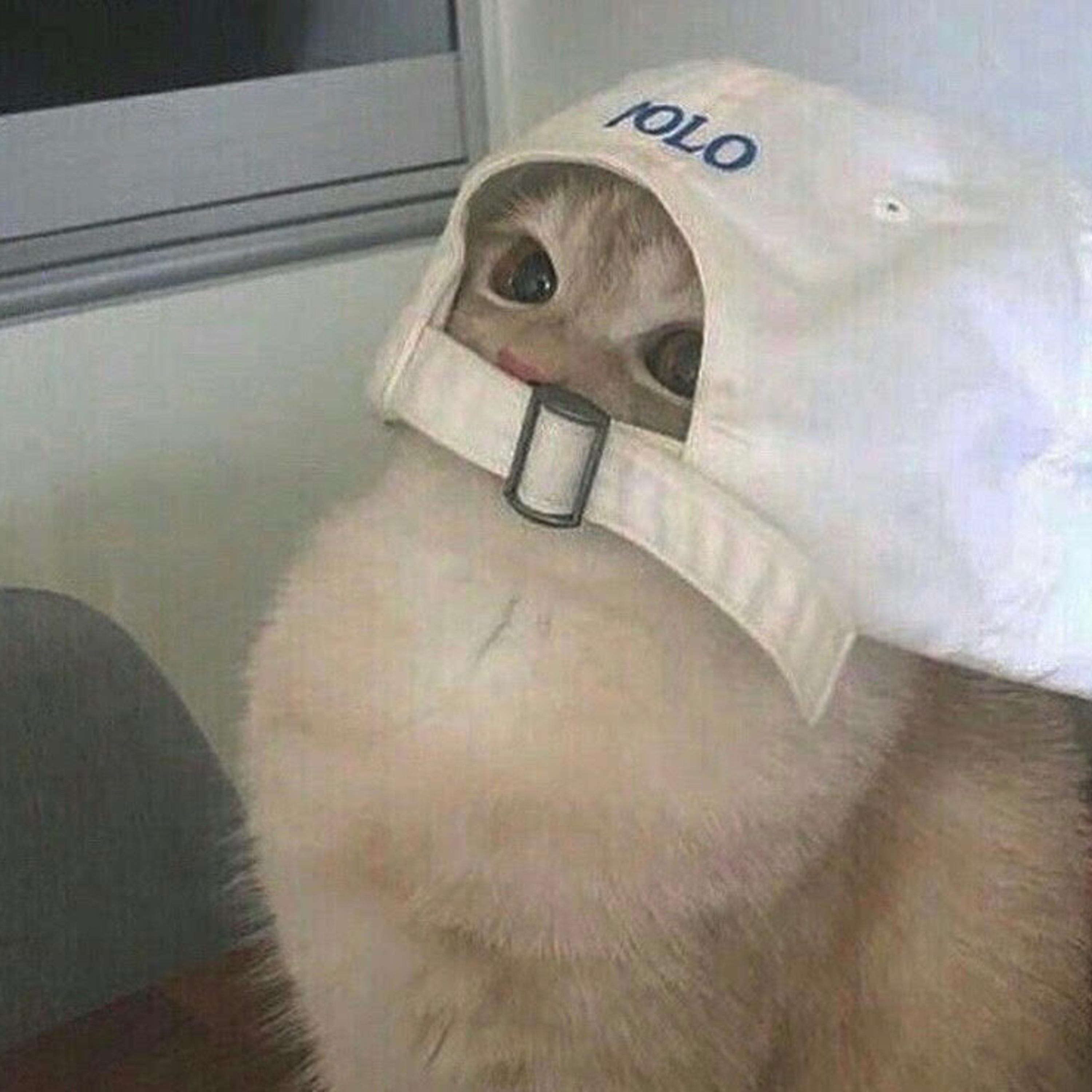 Channel 666 - Teenage Immigrants