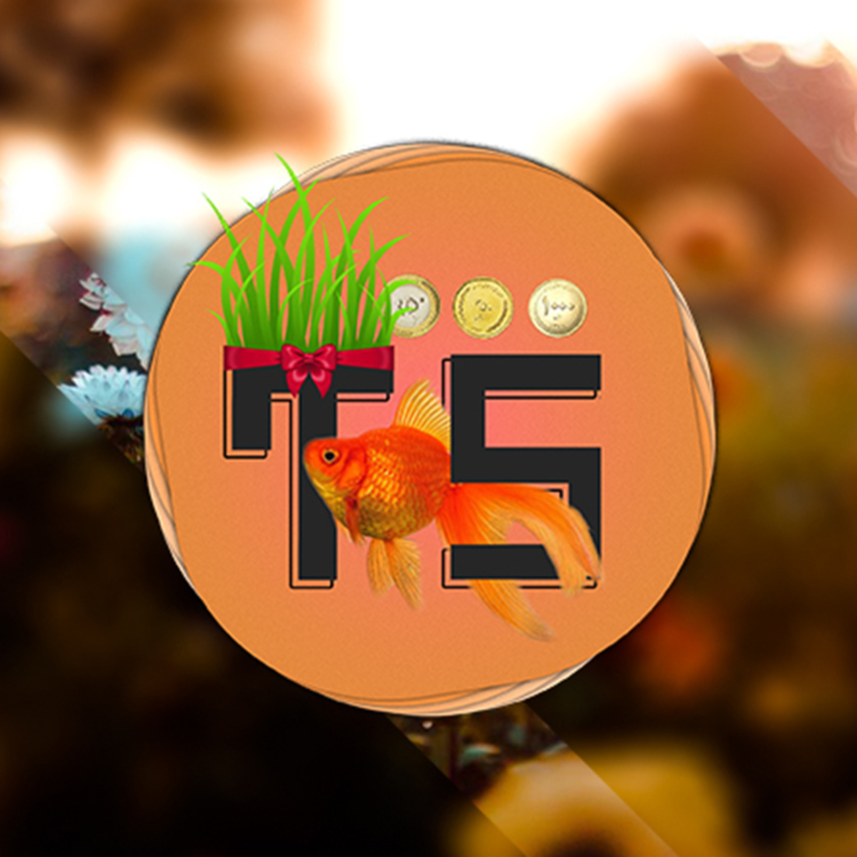کاور بهار 98 با اعضای تیله سافت - م.قاسمیان