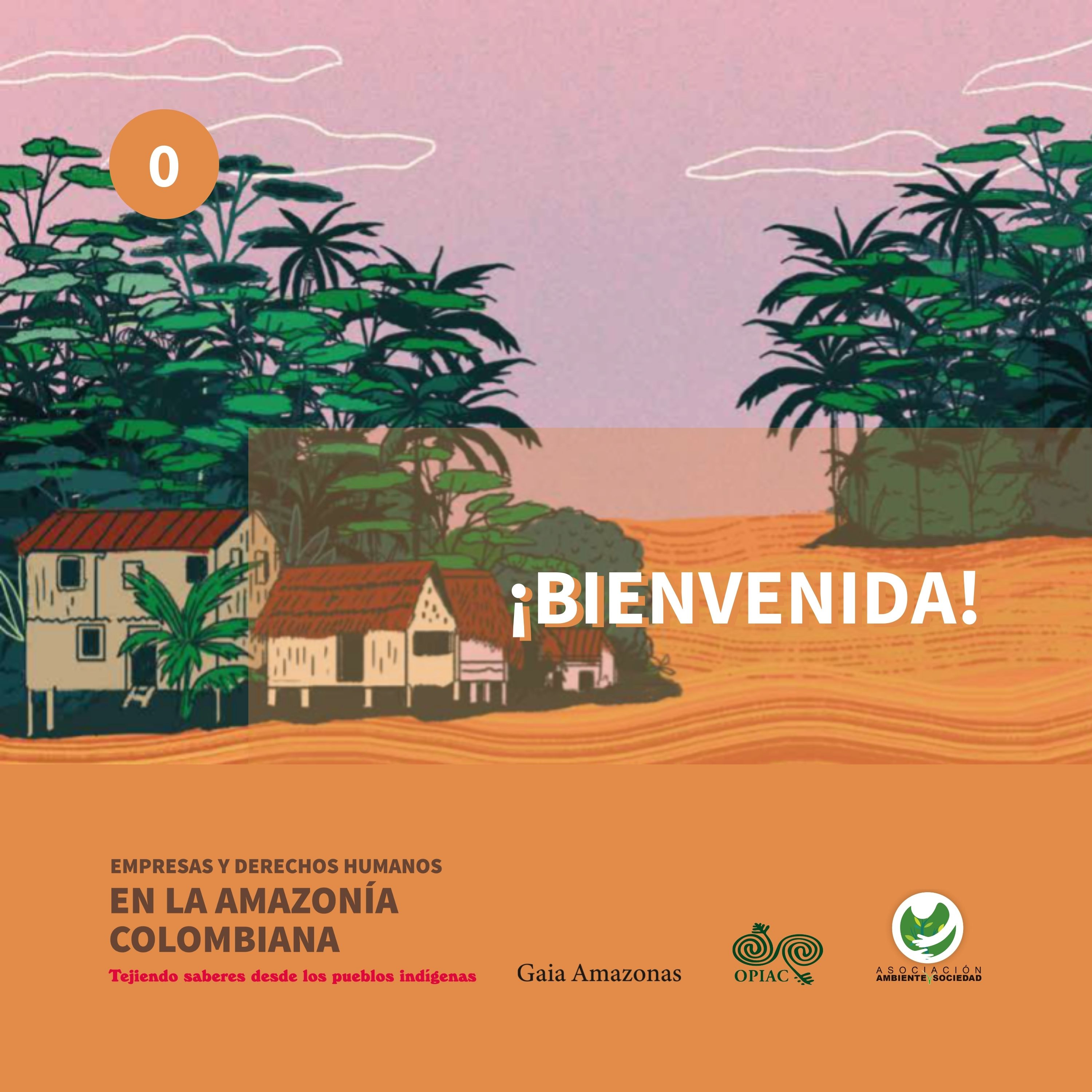 Empresas y Derechos Humanos en la Amazonía colombiana