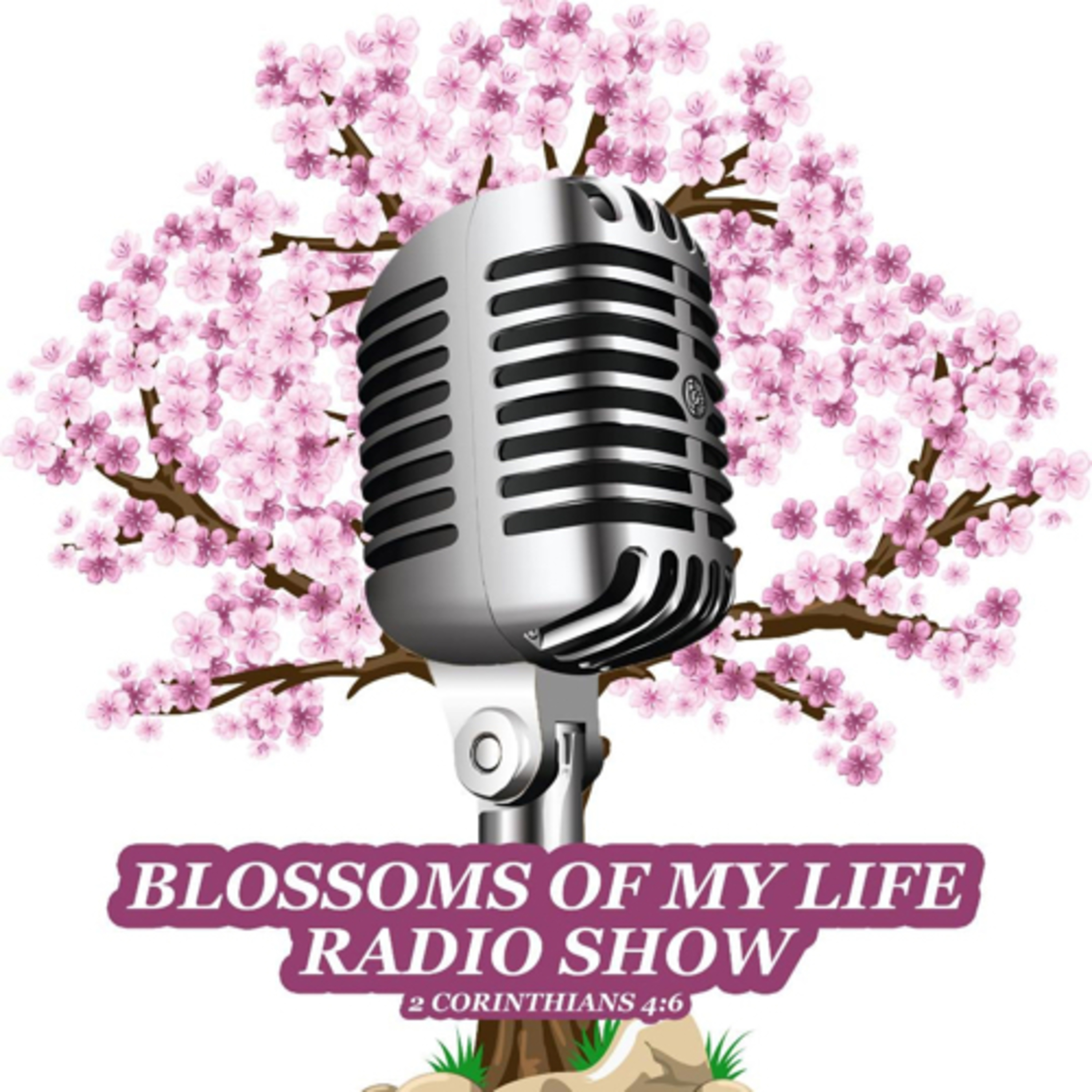 Elevation Radio Network