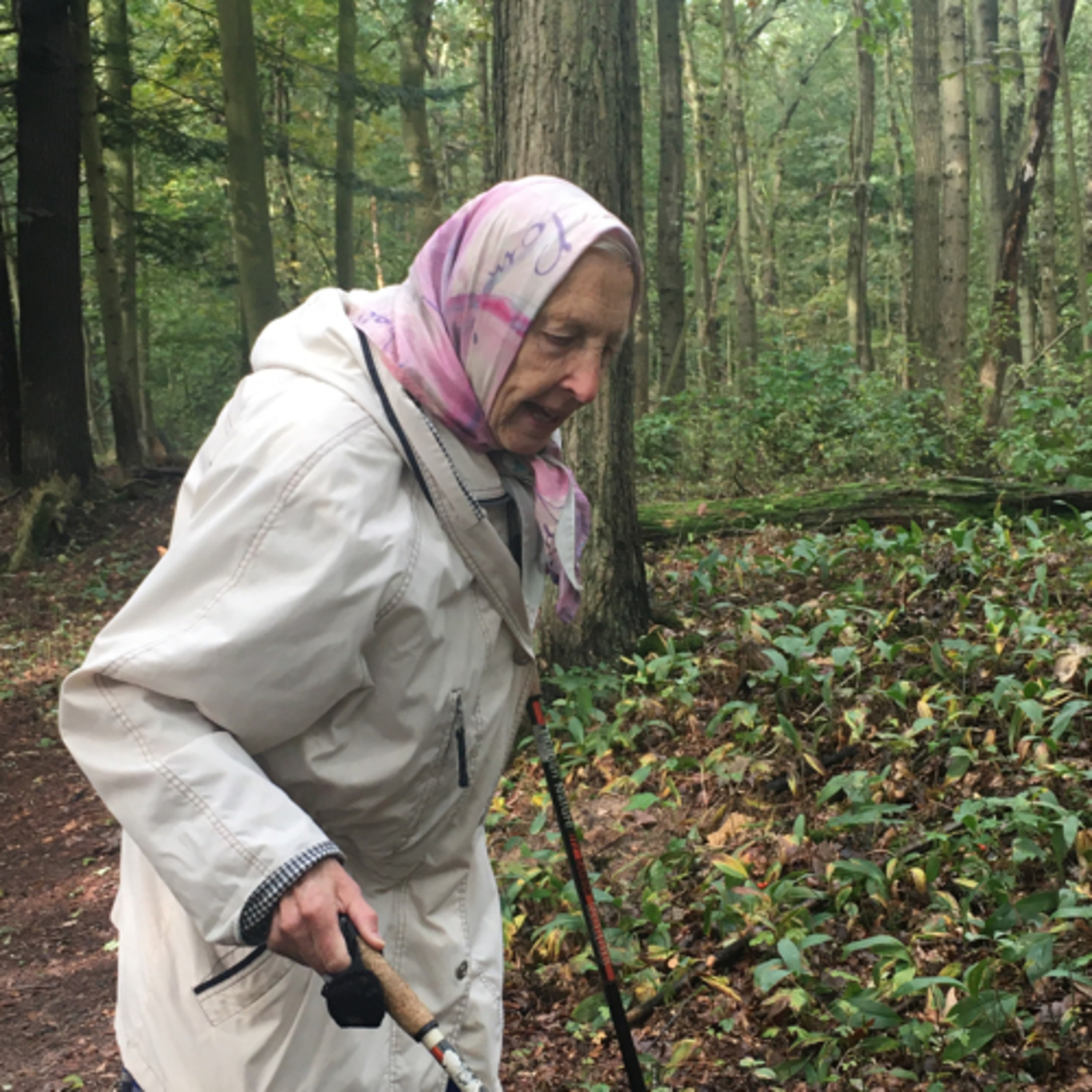 Wandeling Leyduin the netherlands