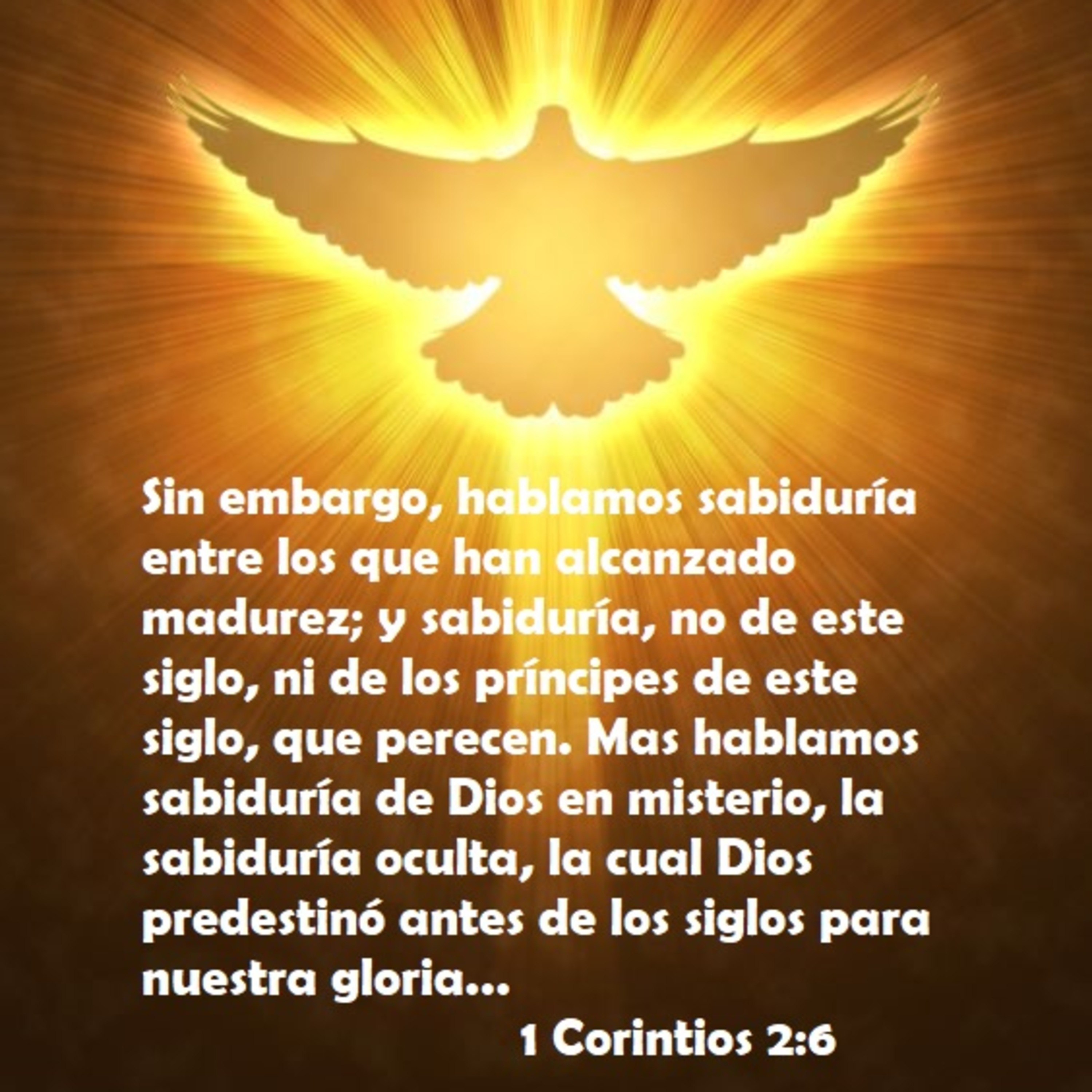 Pr. Jorge PachecoIglesia de Dios de la Profecía