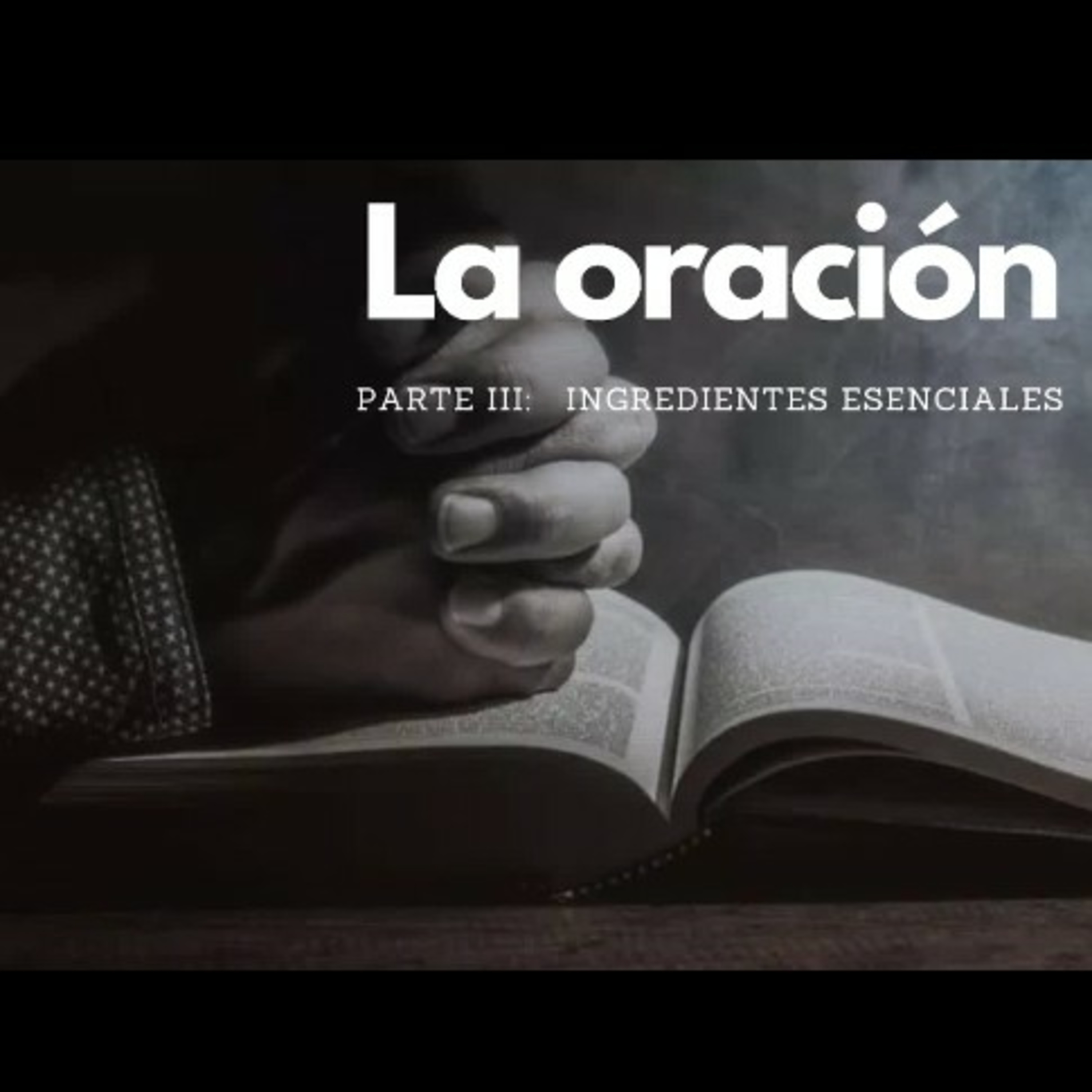 Semilla Ensenada Podcast