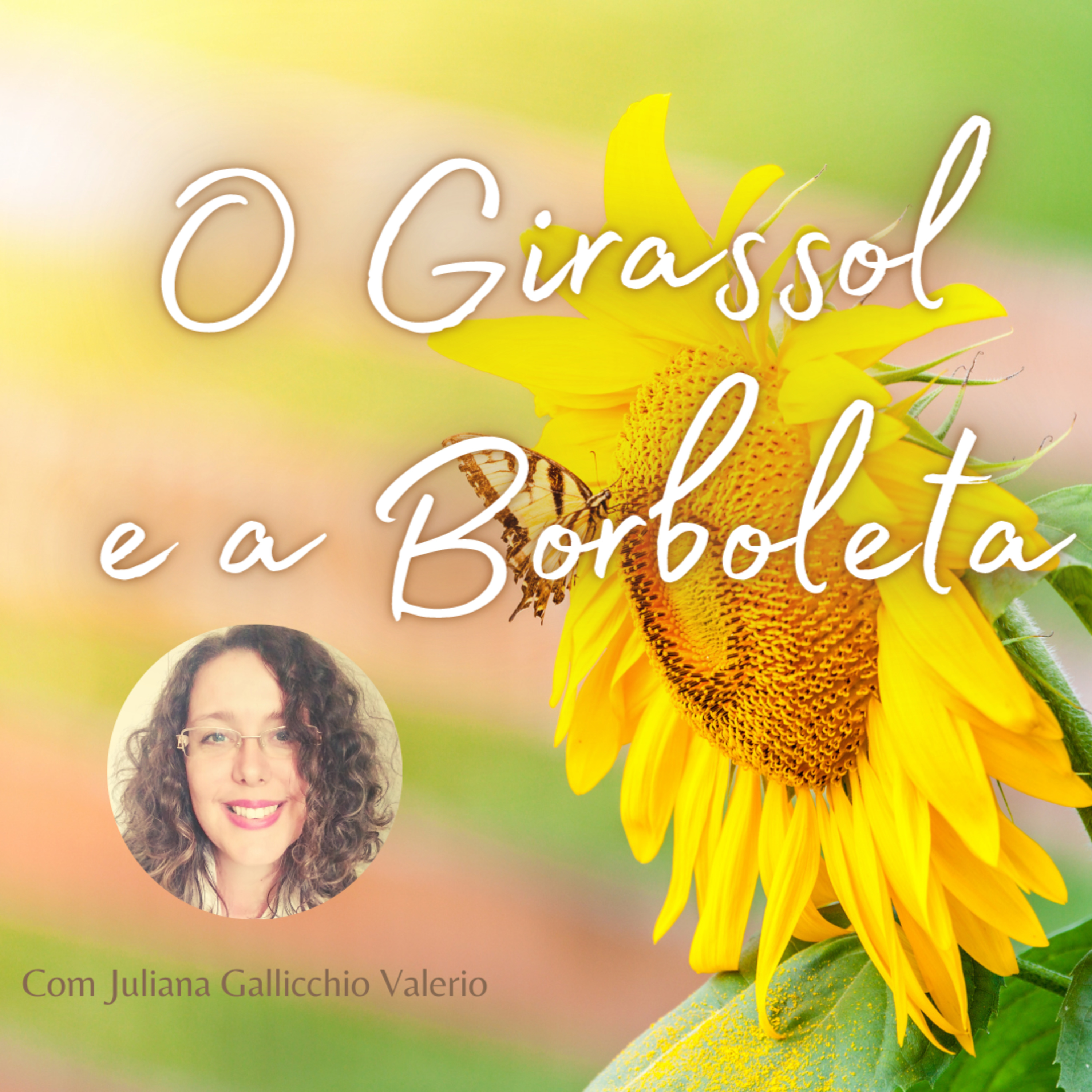 O Girassol e a Borboleta episode artwork