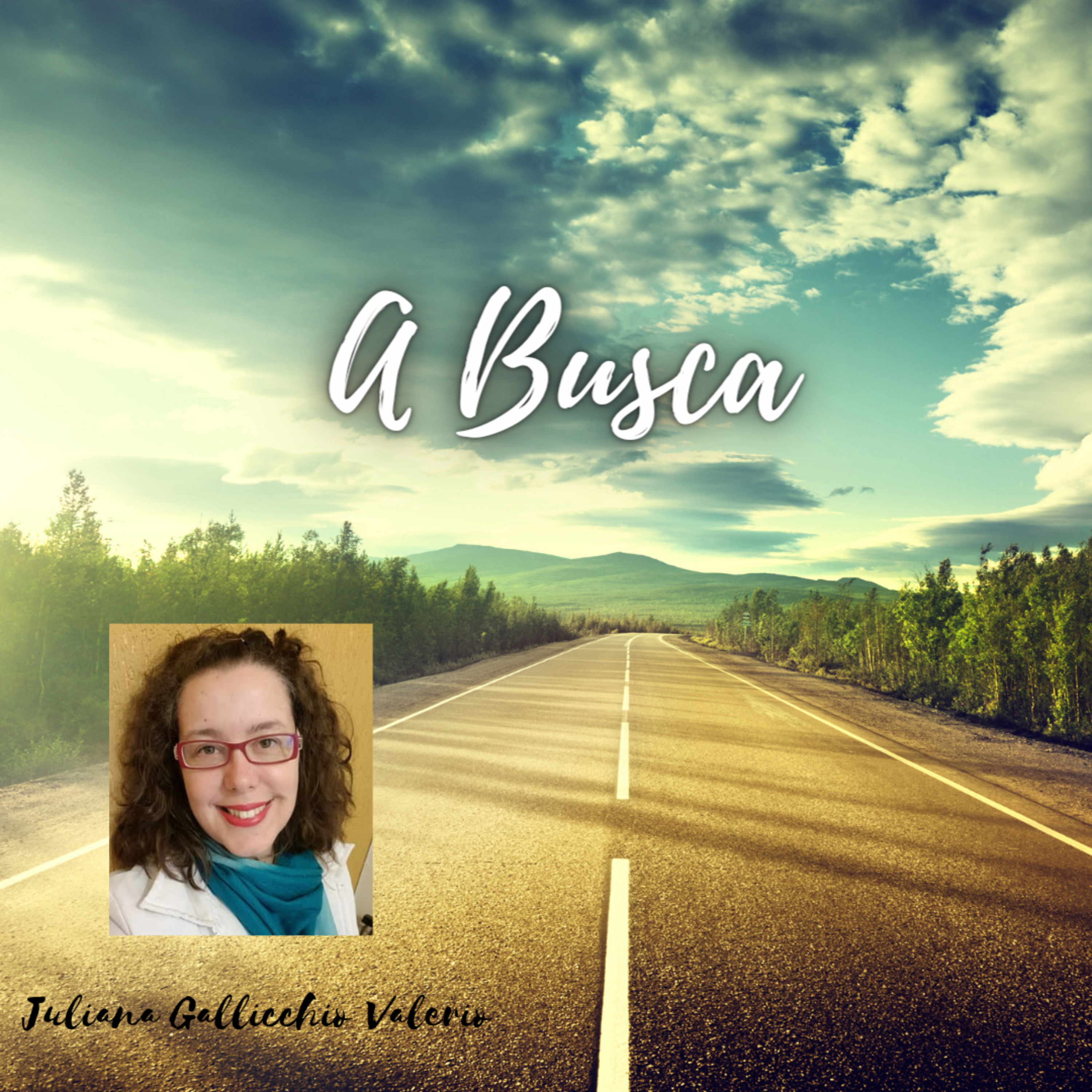 A Busca episode artwork