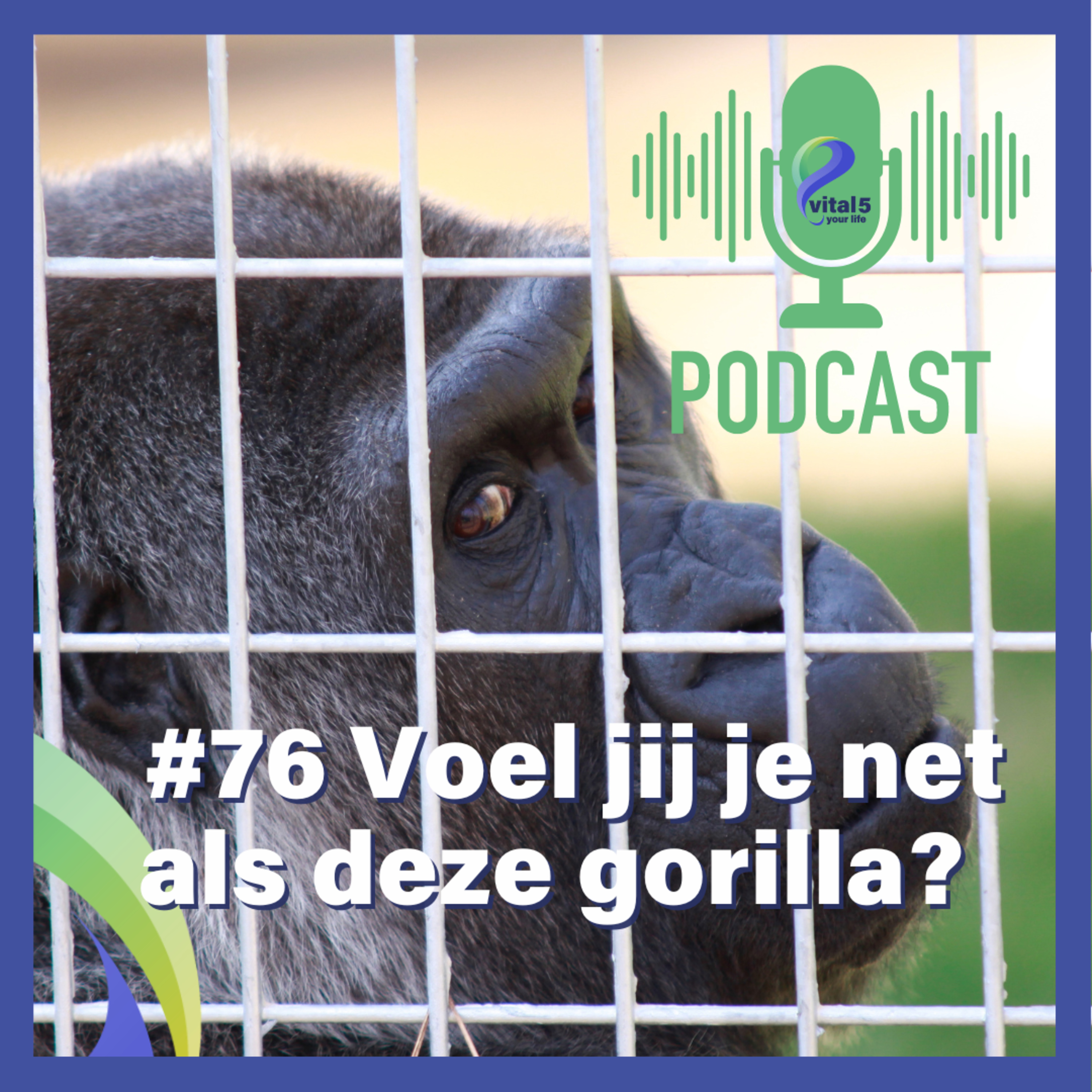 #76 Voel jij je net als die gorilla? Ineke van der Velden