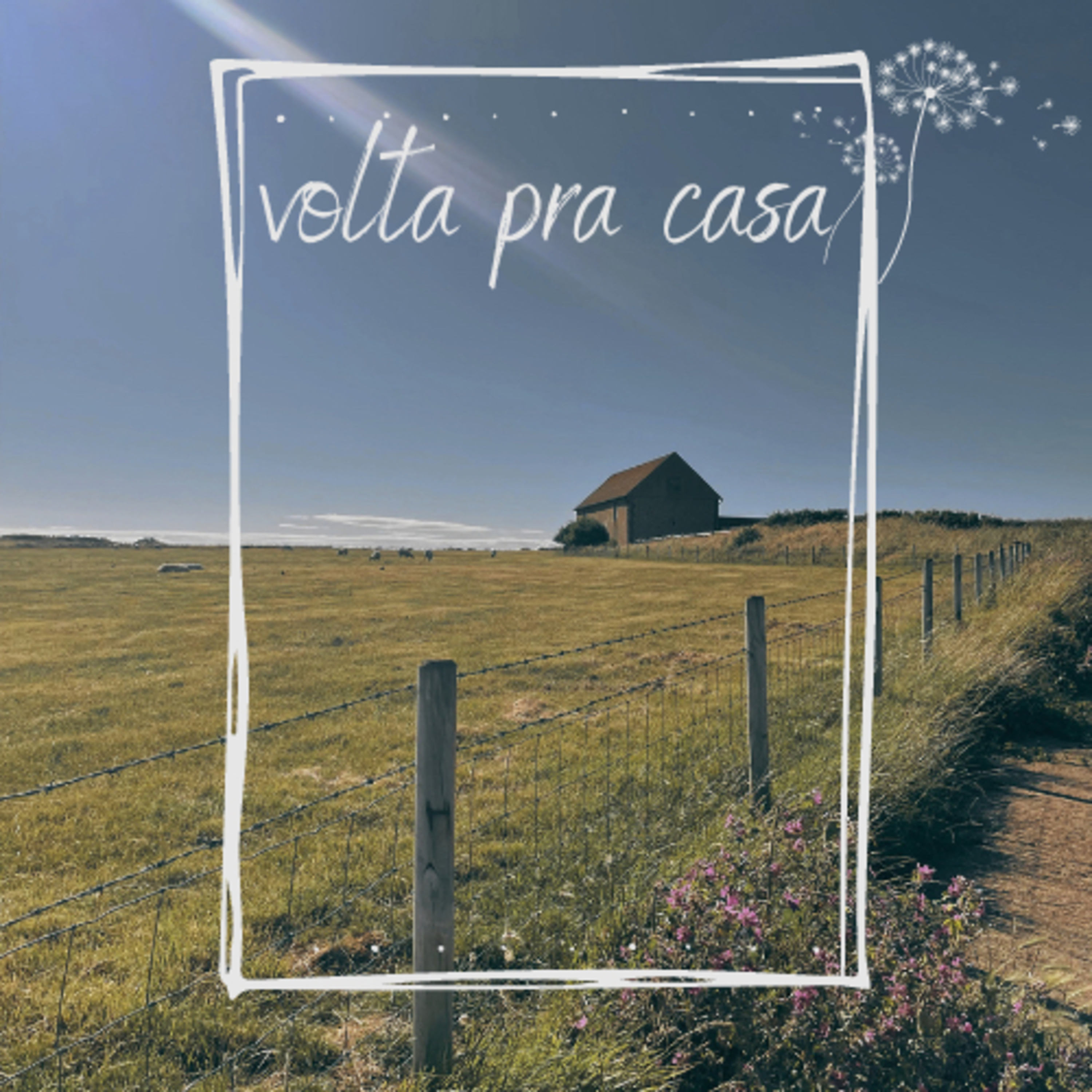 Volta pra casa episode artwork