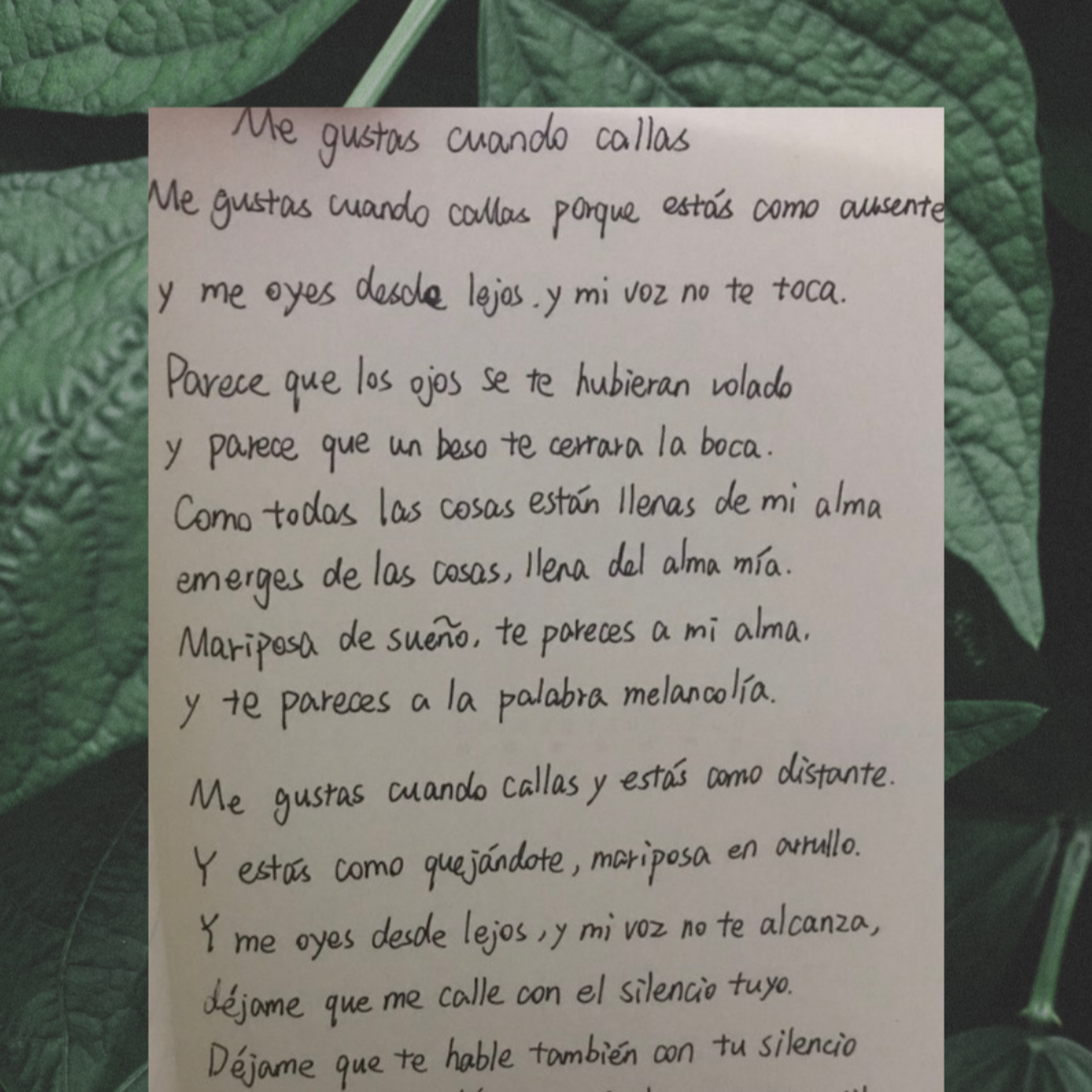 Me gustas cuando callas