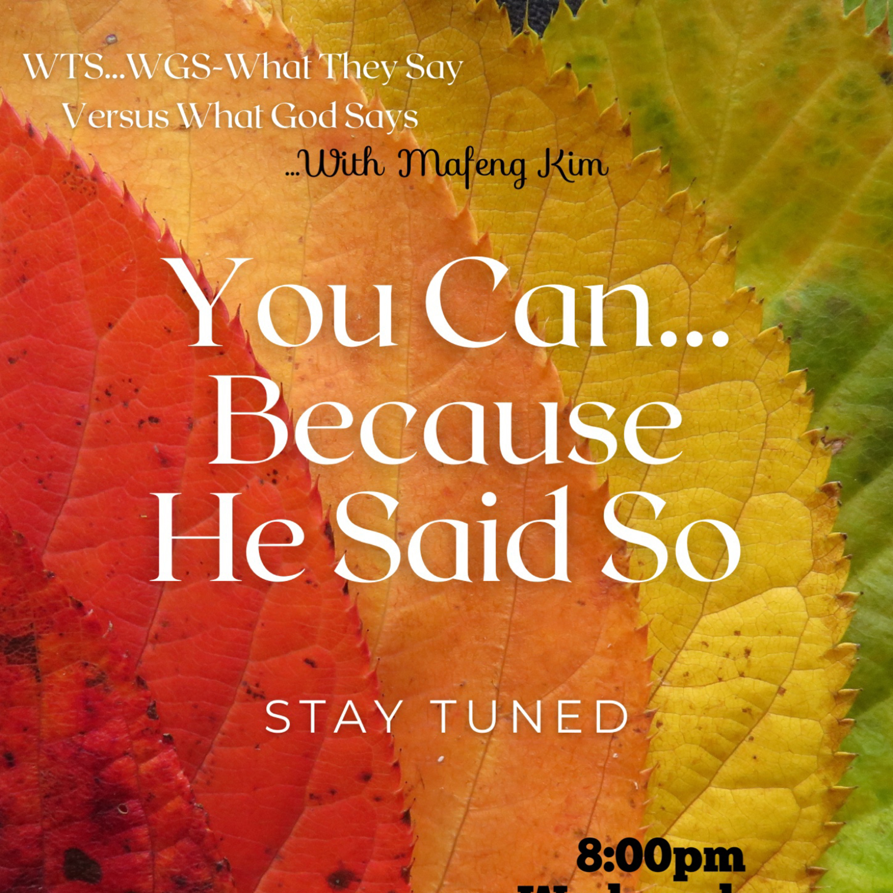 WtsWGs-What They Say Versus What God Says