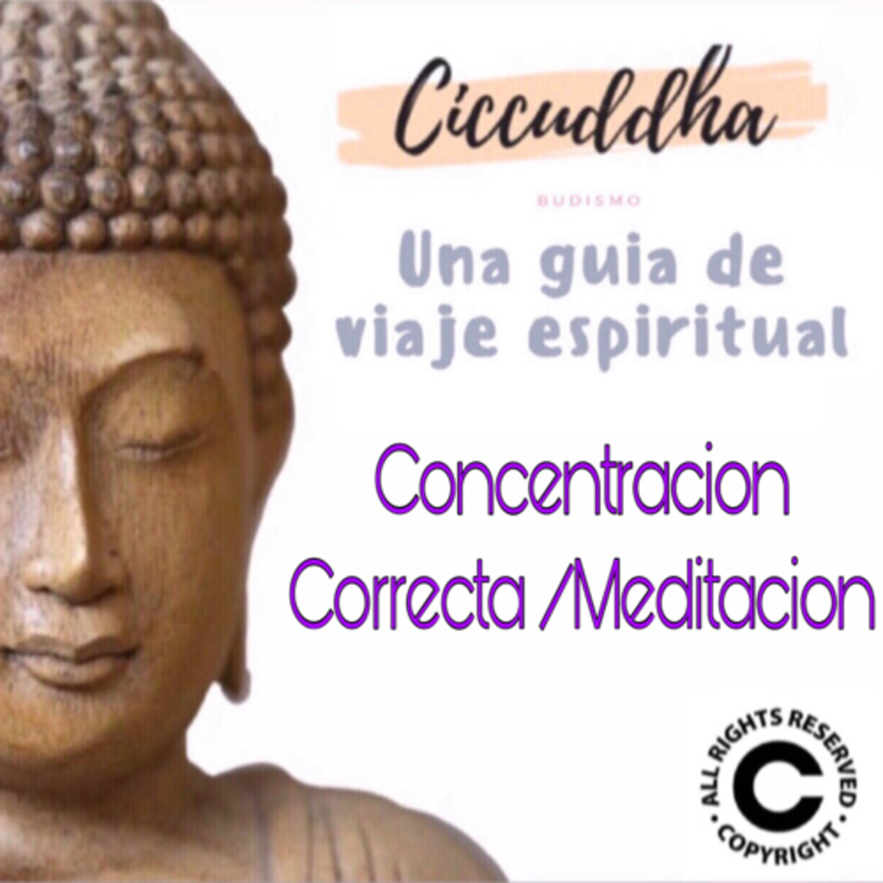 Concentracion Correcta/ Meditacion Extra Bono : Mi Tecnica De Meditacion Y Mantras