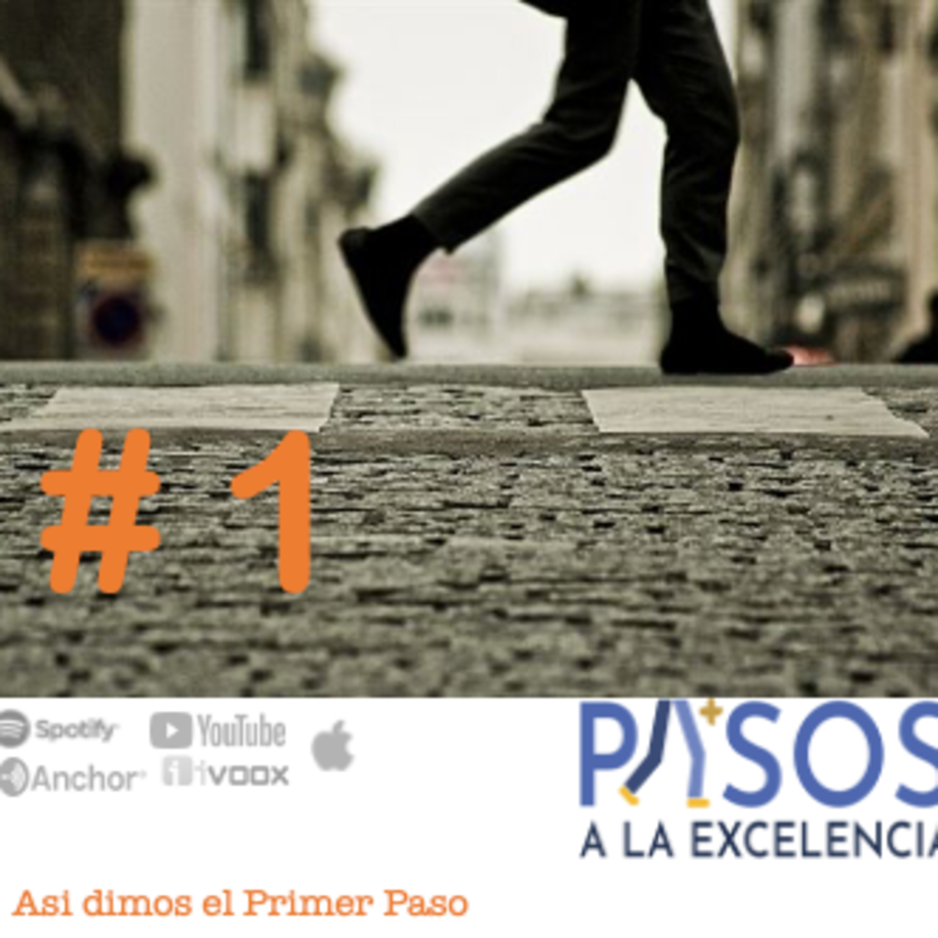 Pasos a la Excelencia