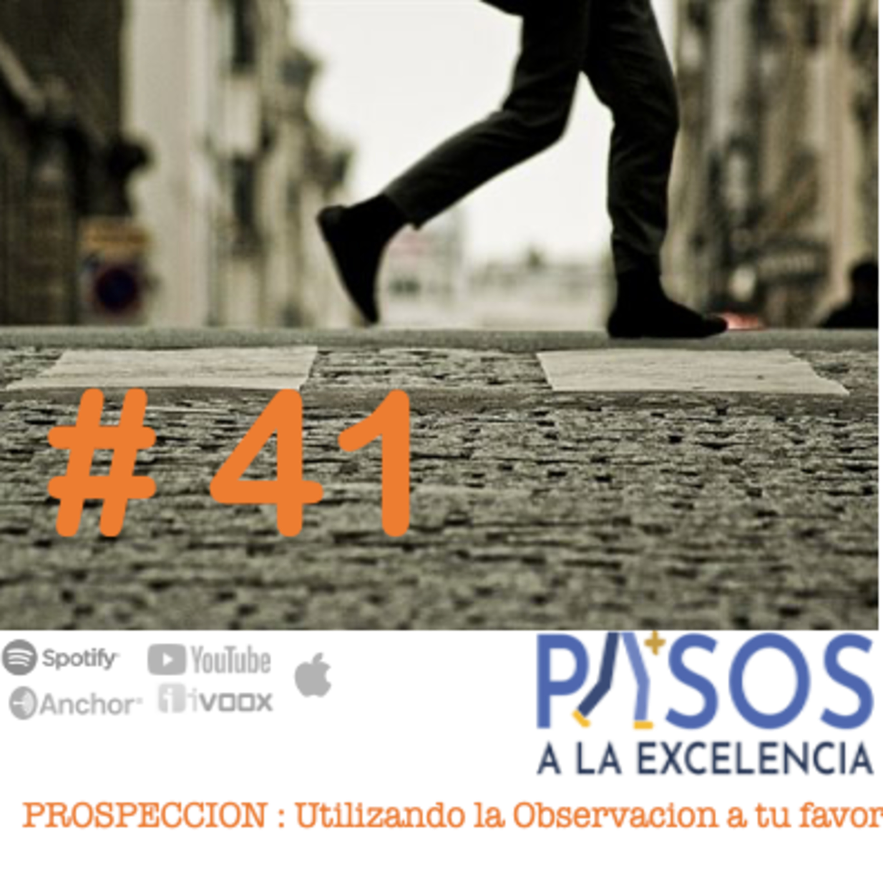 Pasos a la Excelencia