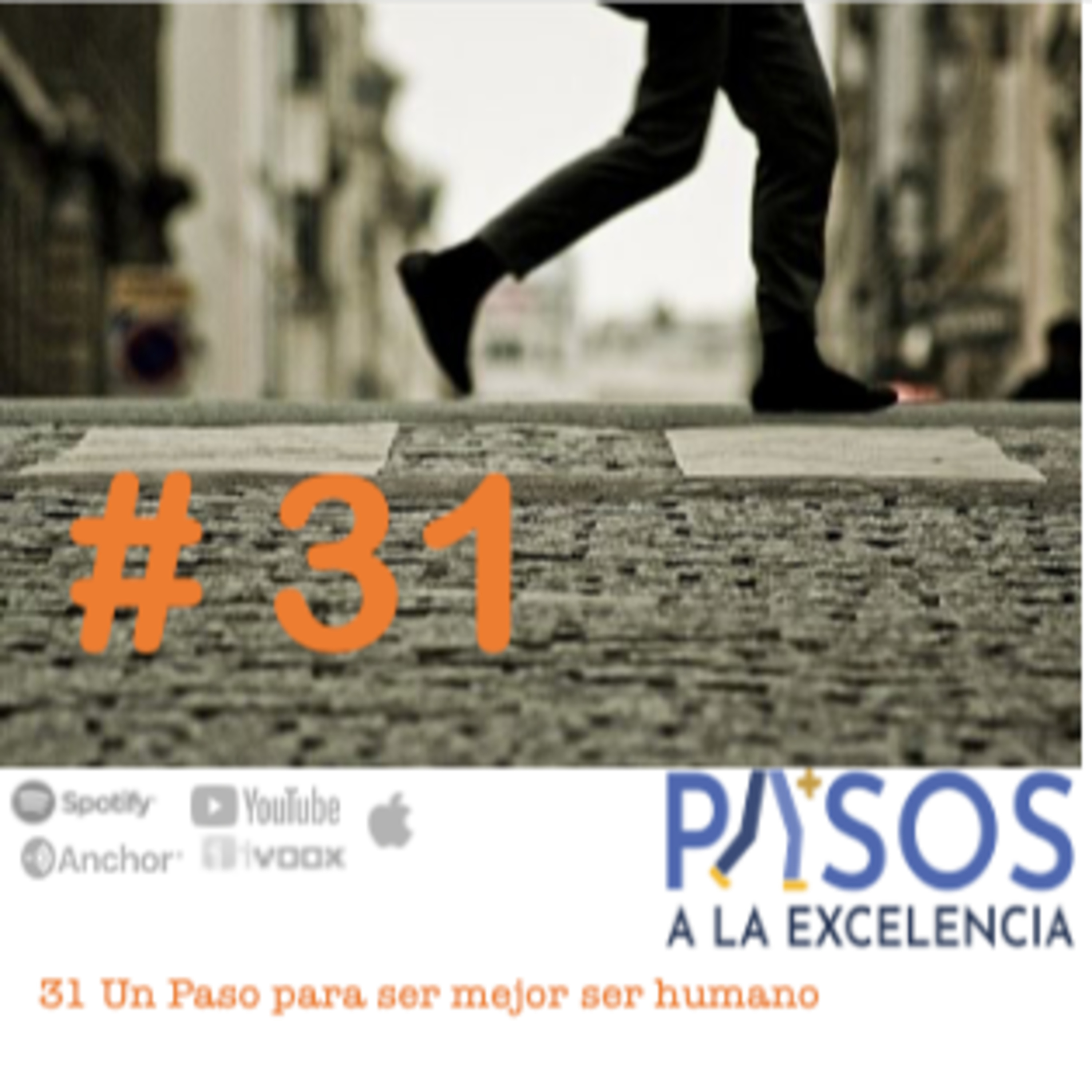 Pasos a la Excelencia