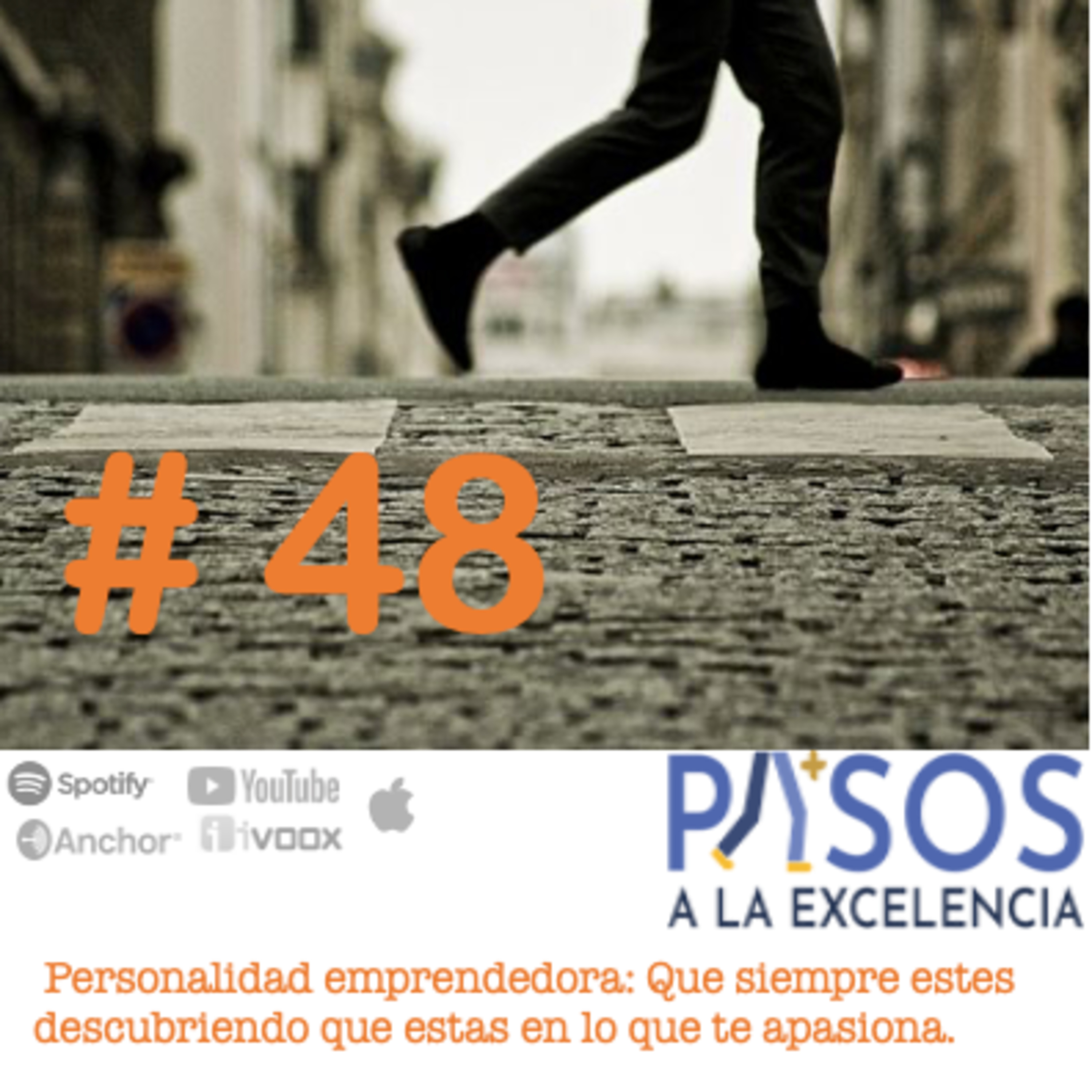 Pasos a la Excelencia
