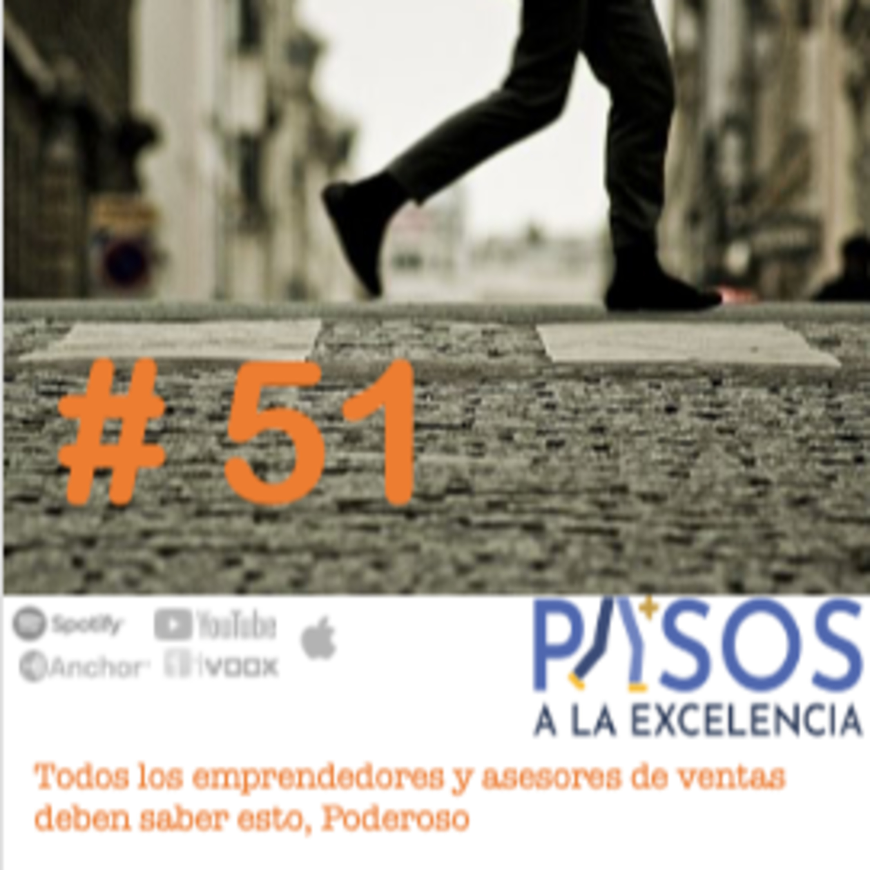 Pasos a la Excelencia