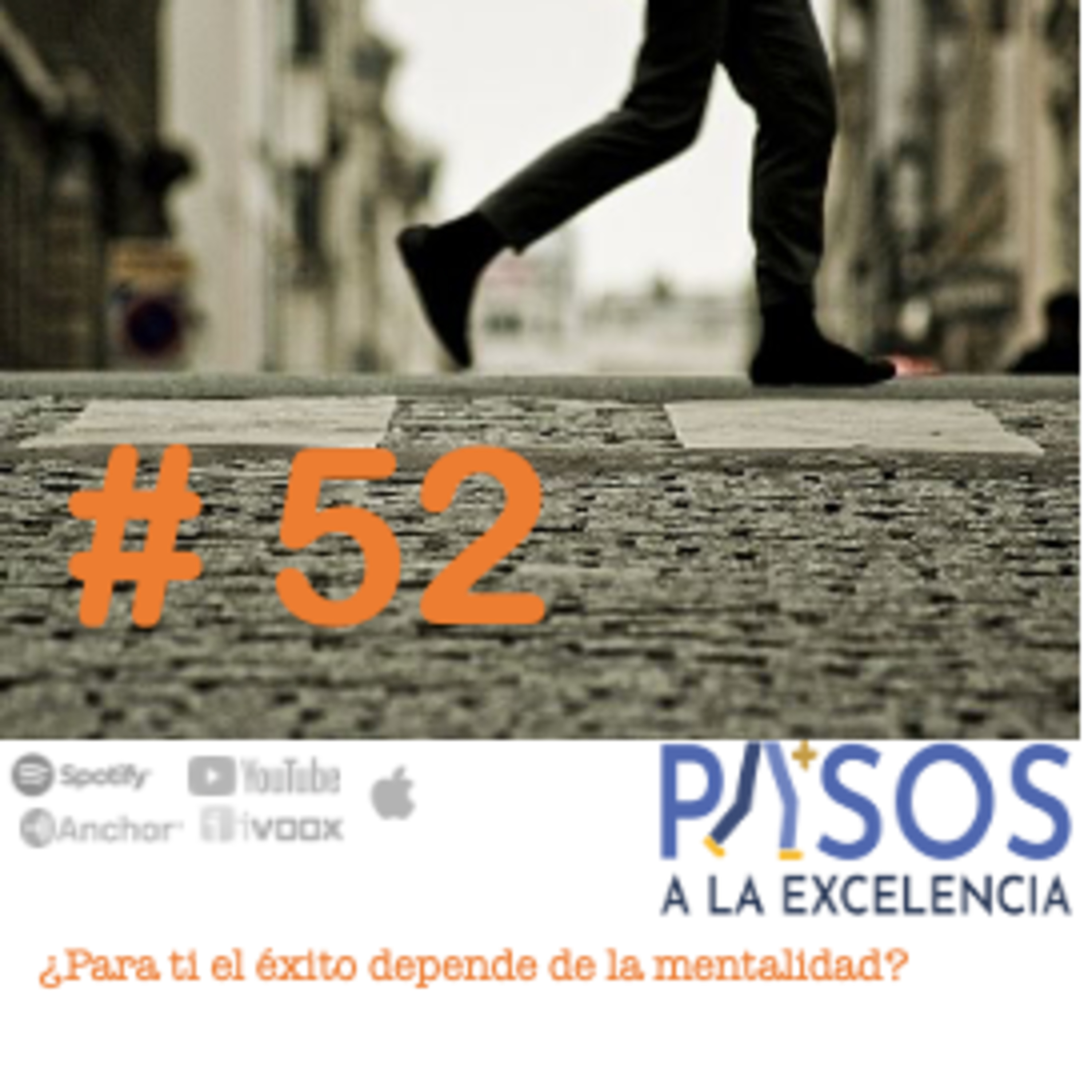 Pasos a la Excelencia