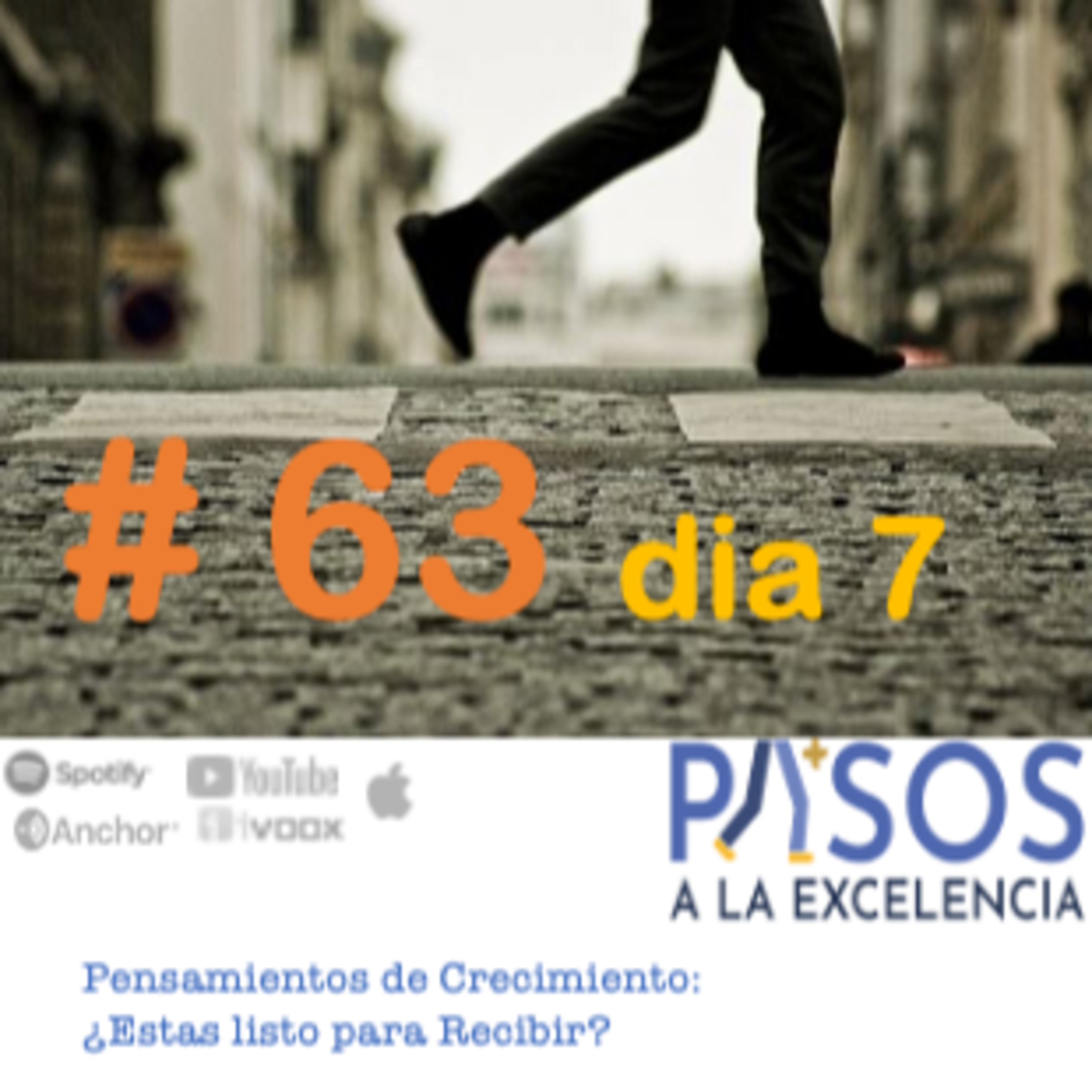 Pasos a la Excelencia