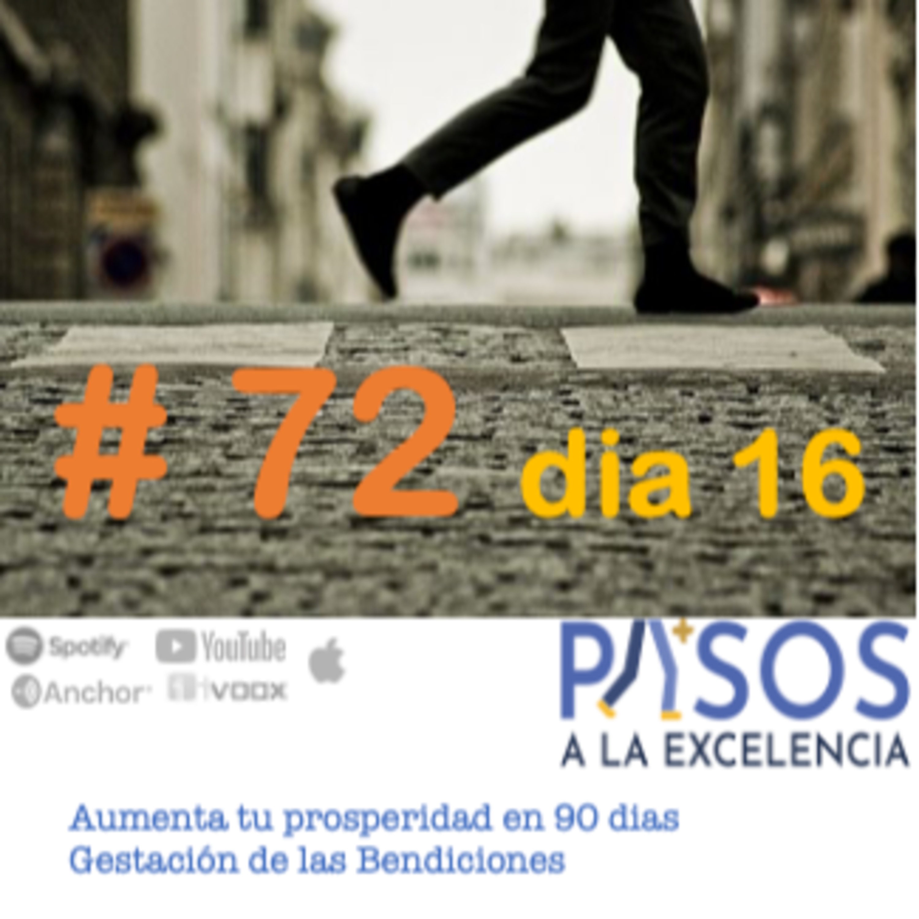 Pasos a la Excelencia