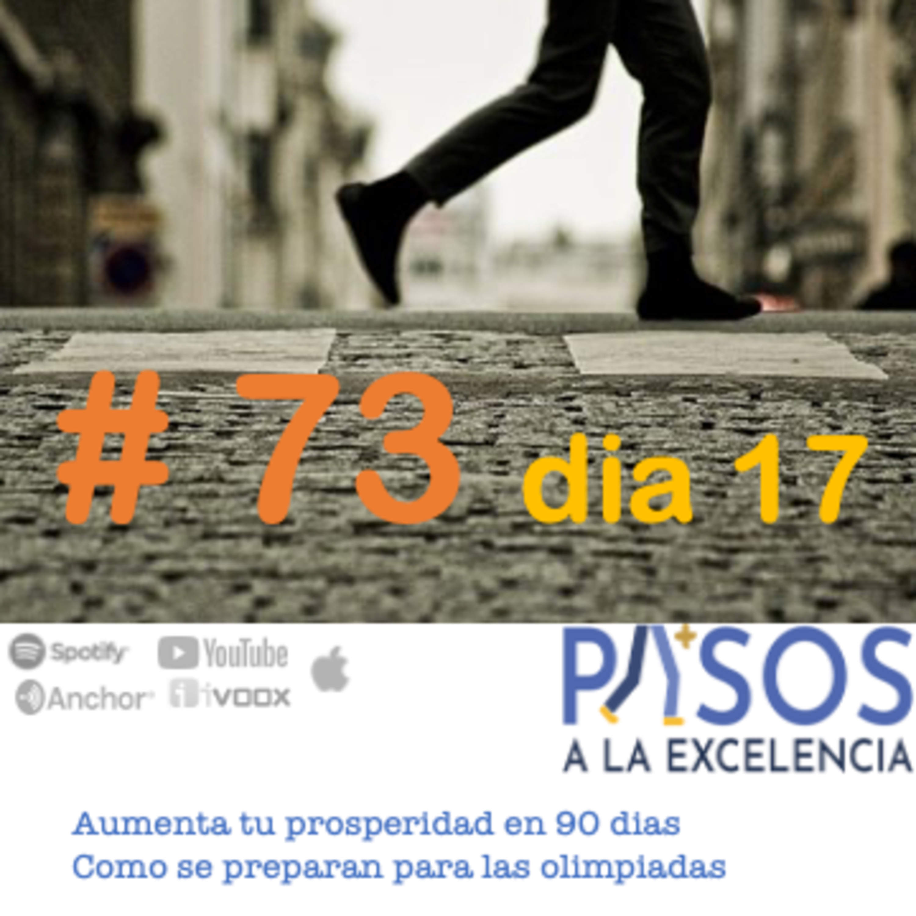 Pasos a la Excelencia
