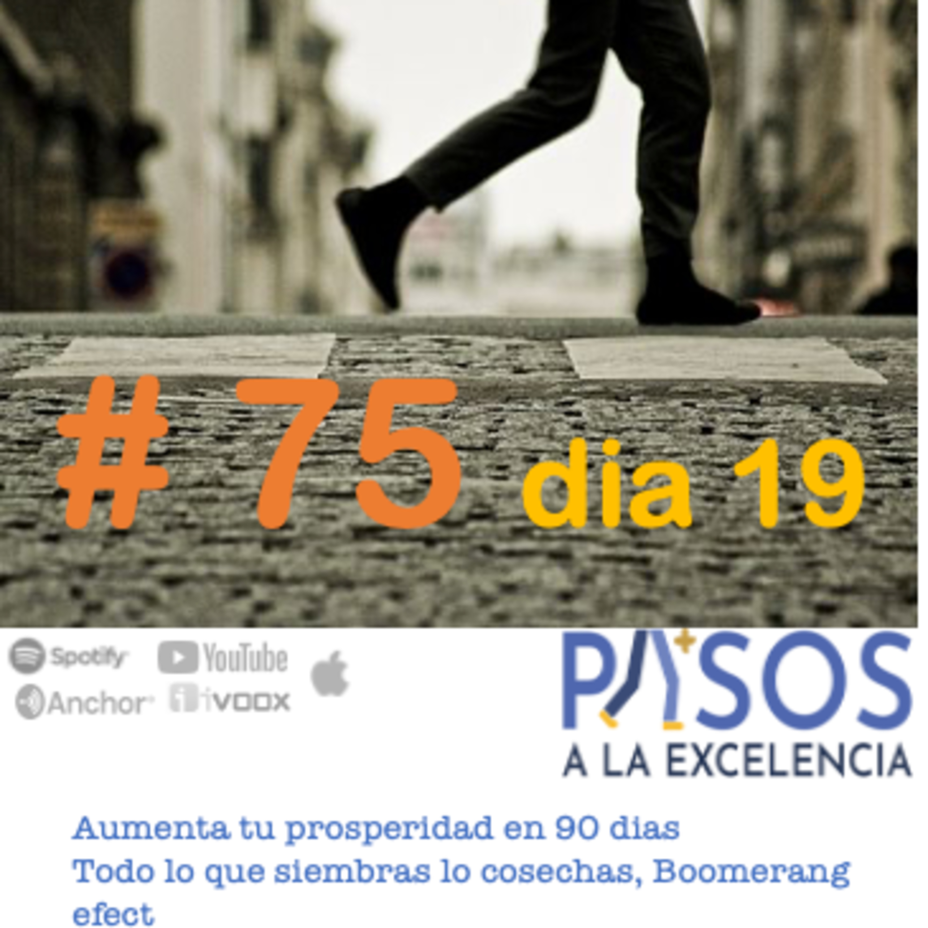 Pasos a la Excelencia